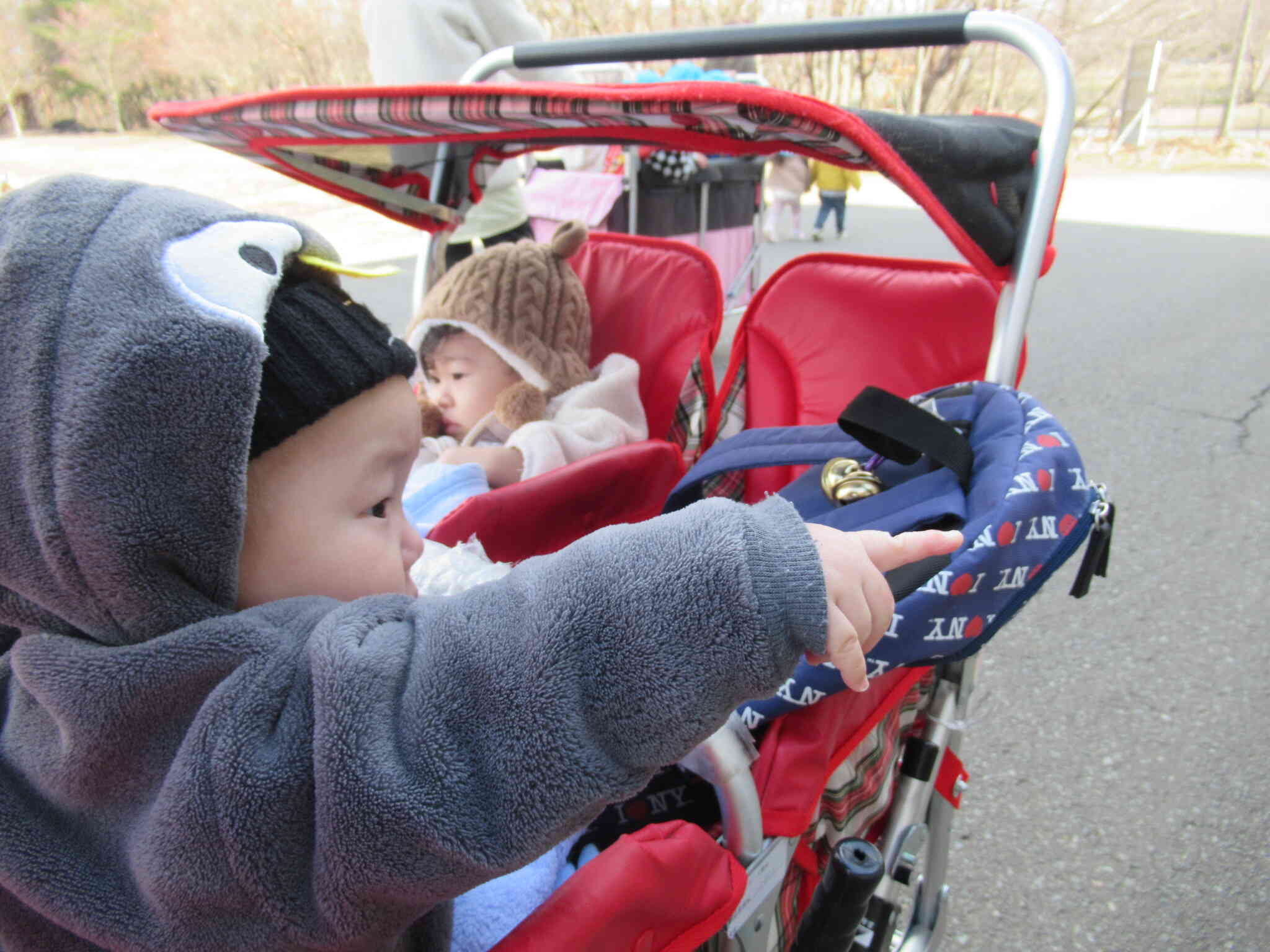 不思議がたくさんのお散歩