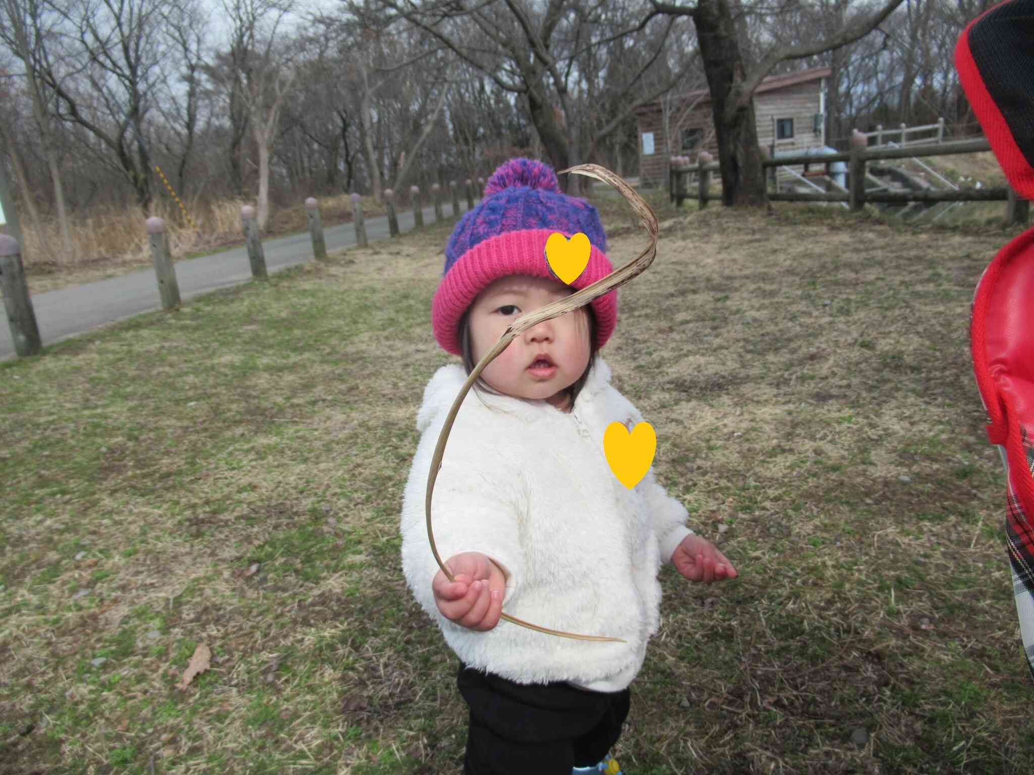 なんだこれ～？