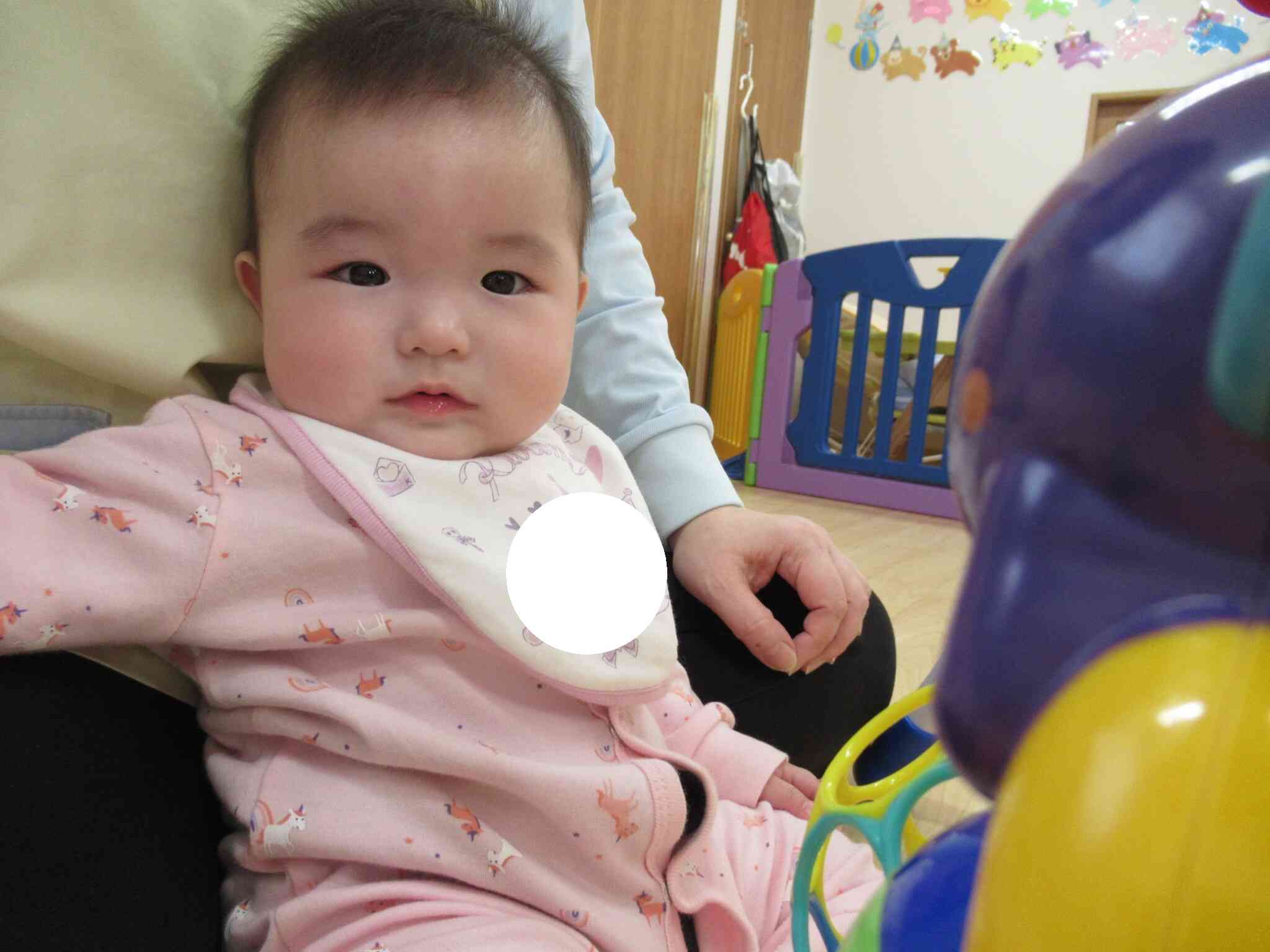 先生の側で安心して過ごしています