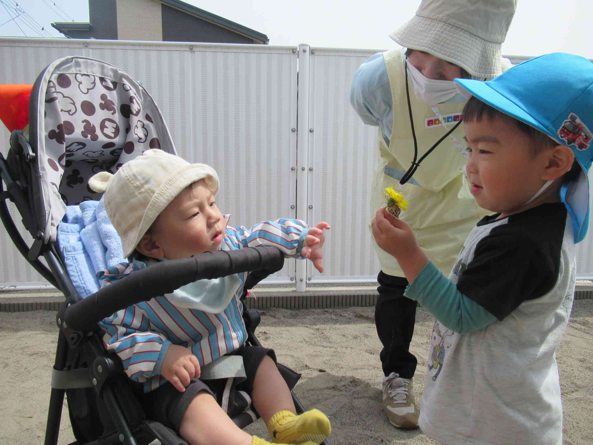 園庭で日向ぼっこをしました～０歳児（ひよこ組）～