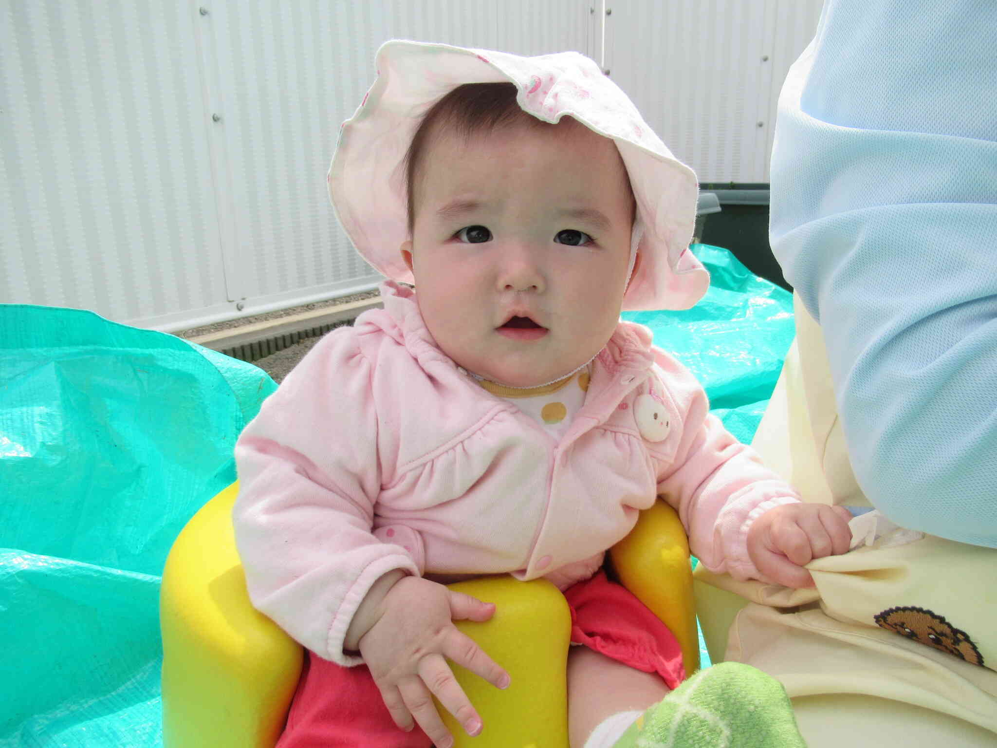 ぽかぽか陽気で気持ちがいいです