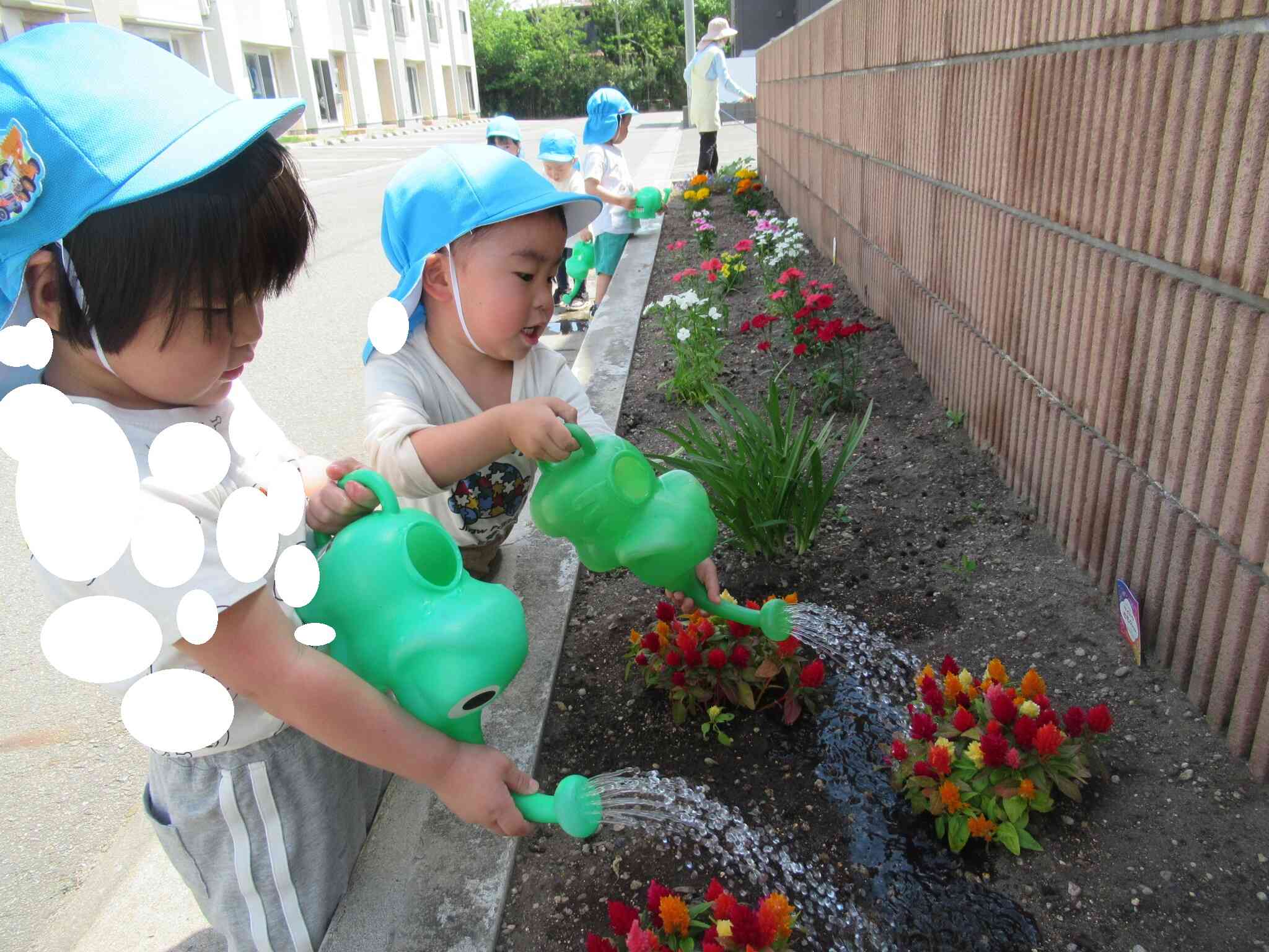 水やりのお仕事を頑張っています！～2歳児うさぎ組～
