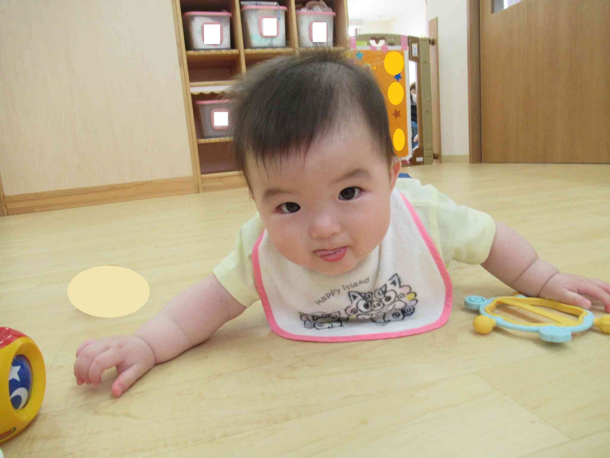 色々な体勢で遊んでいます