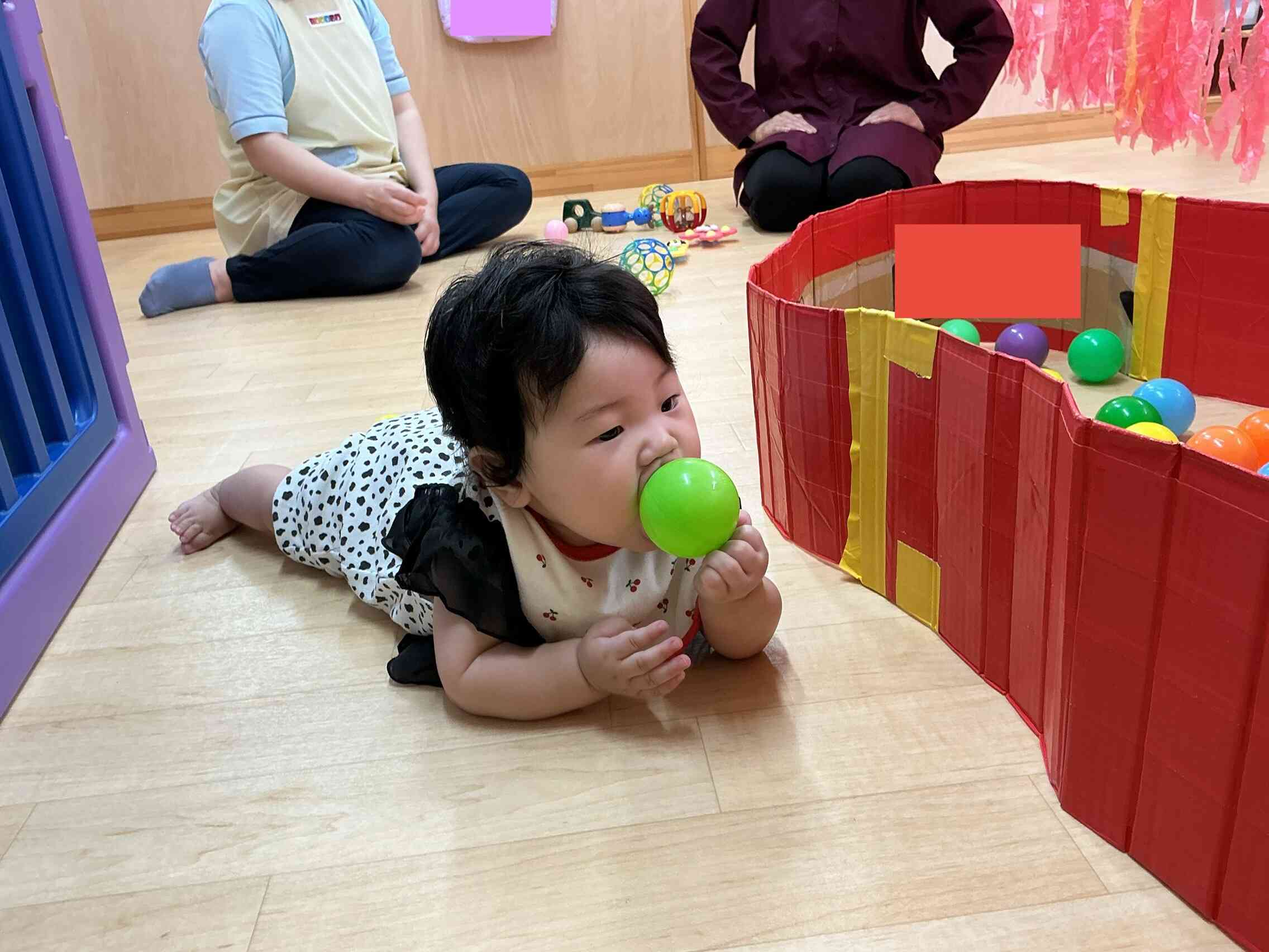 探索楽しいね
