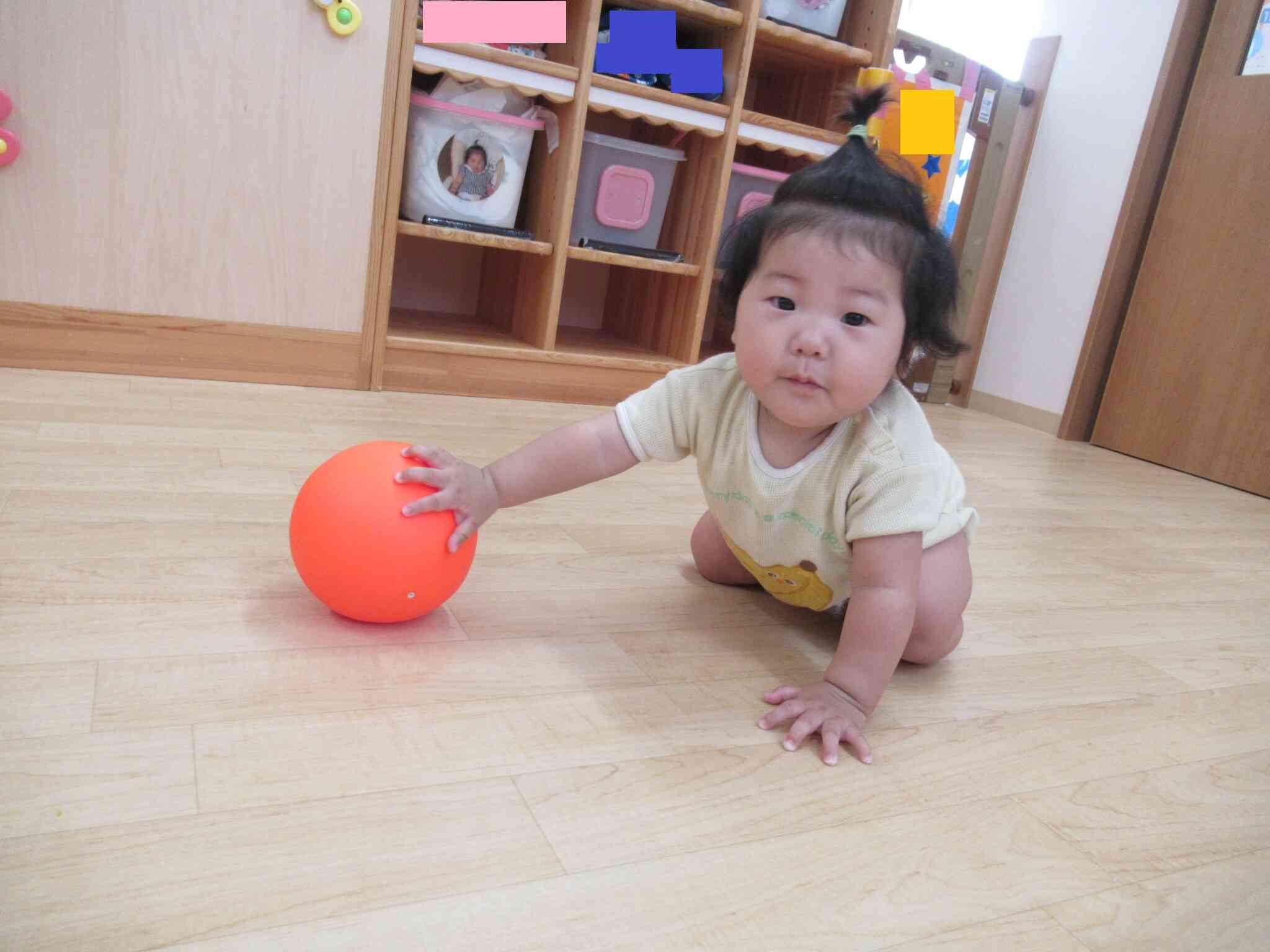 今日の様子～ひよこ組（０歳児）～