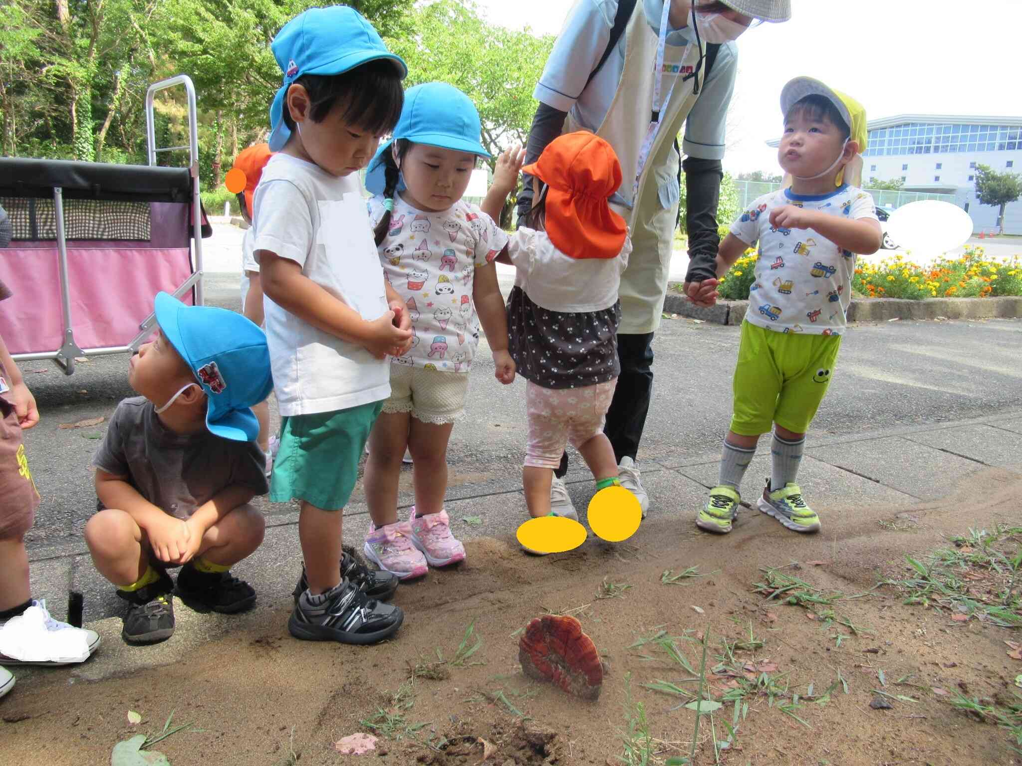 キノコ発見！