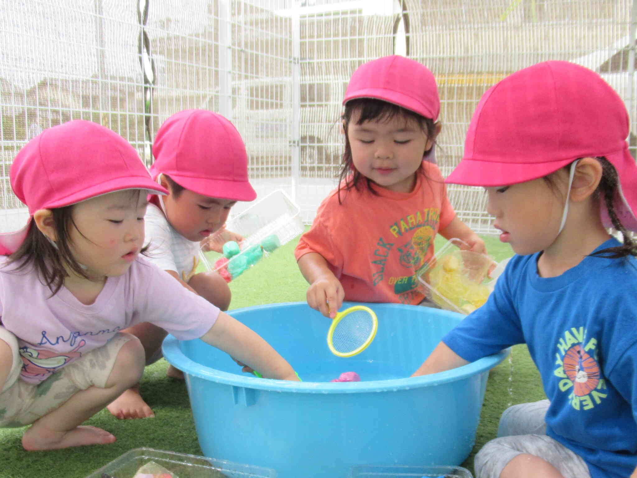let's 金魚すくい！！
