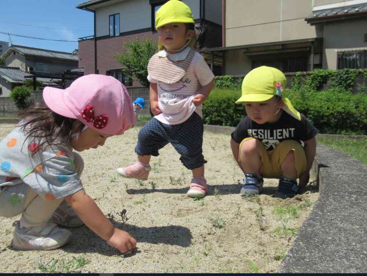 何かを発見！！