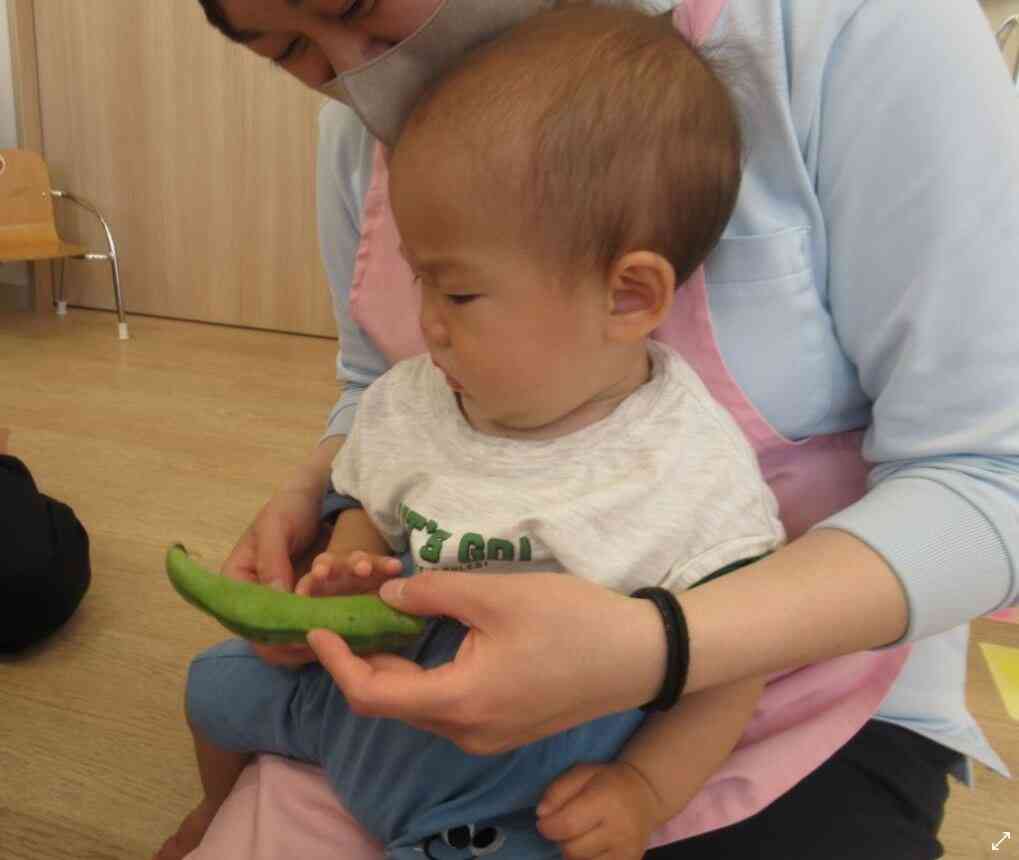 ちょっと触ってみようかな・・・