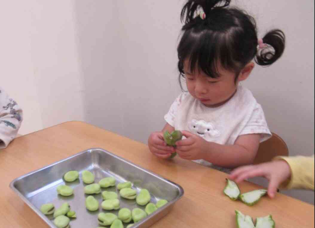 お豆あったぁ～