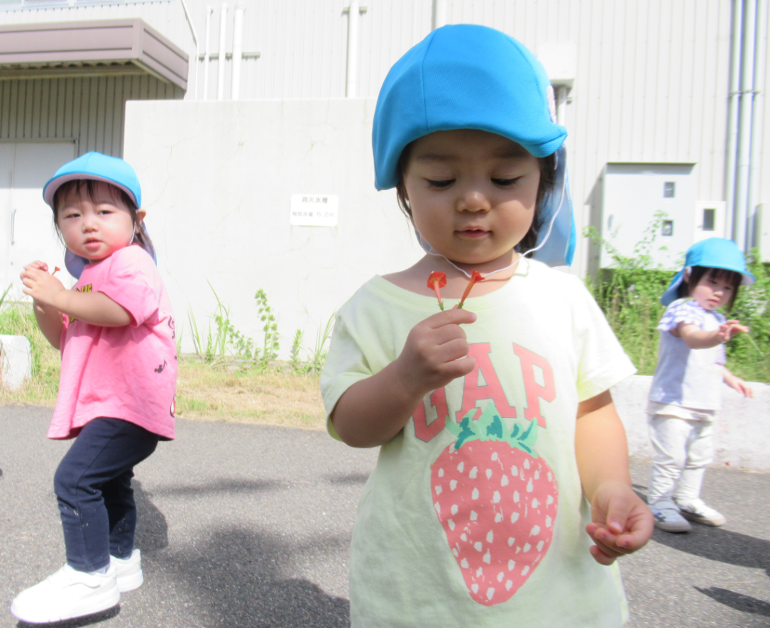 可愛いお花見いつけた♡
