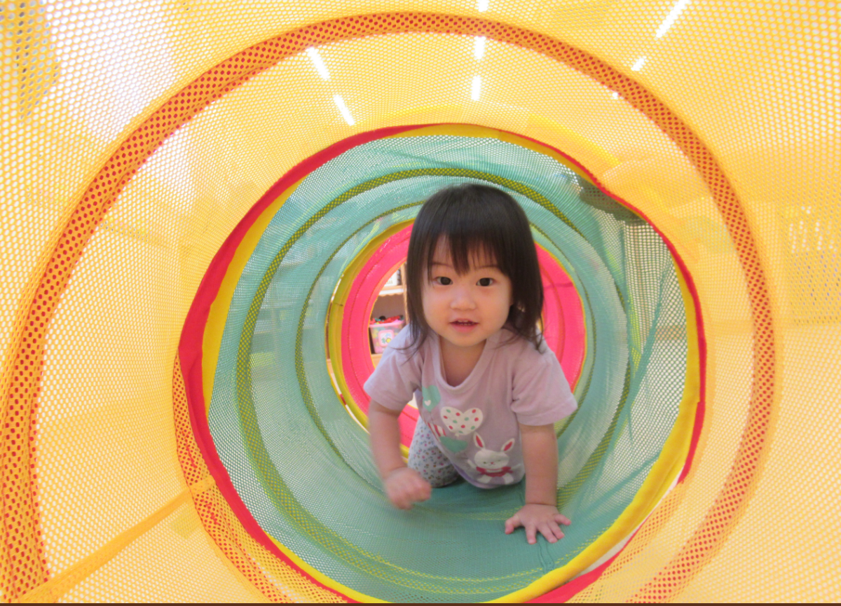 運動遊び♪あひる組。