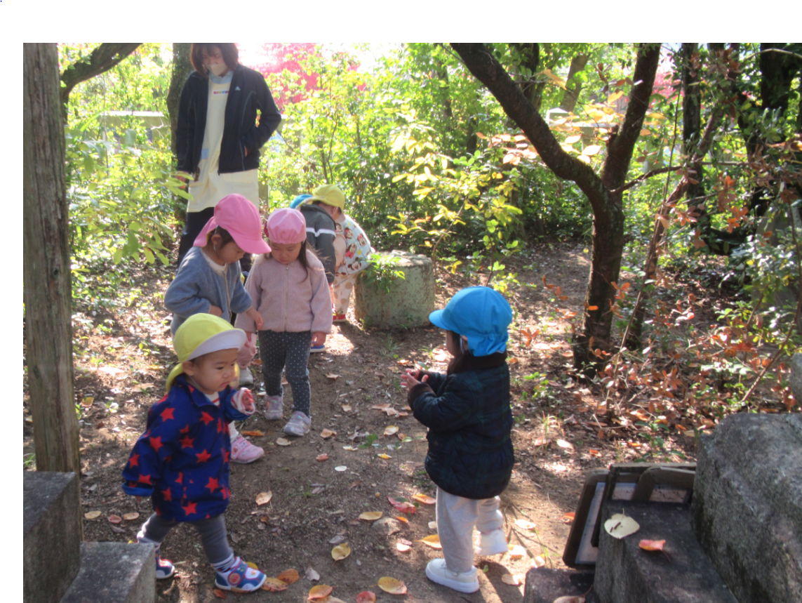 こっちには何があるかな？