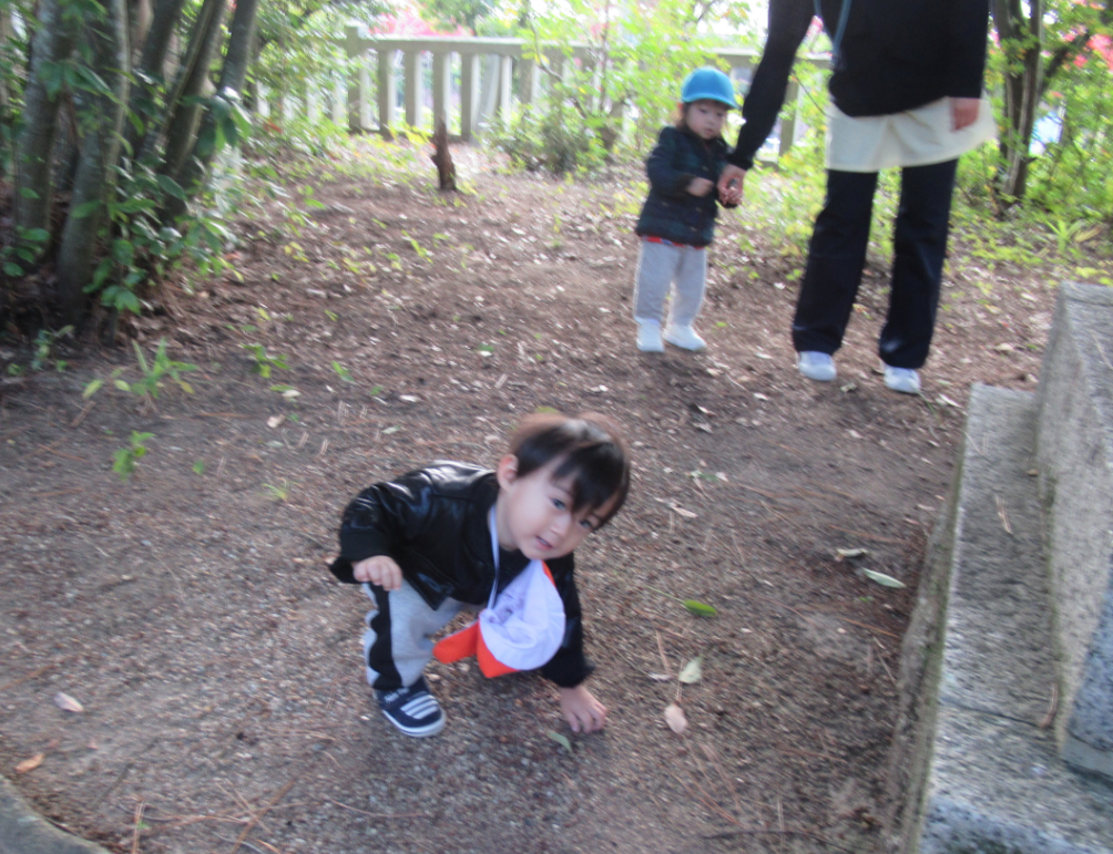 ひよこ組さんもどんぐりみぃ～つけた♪