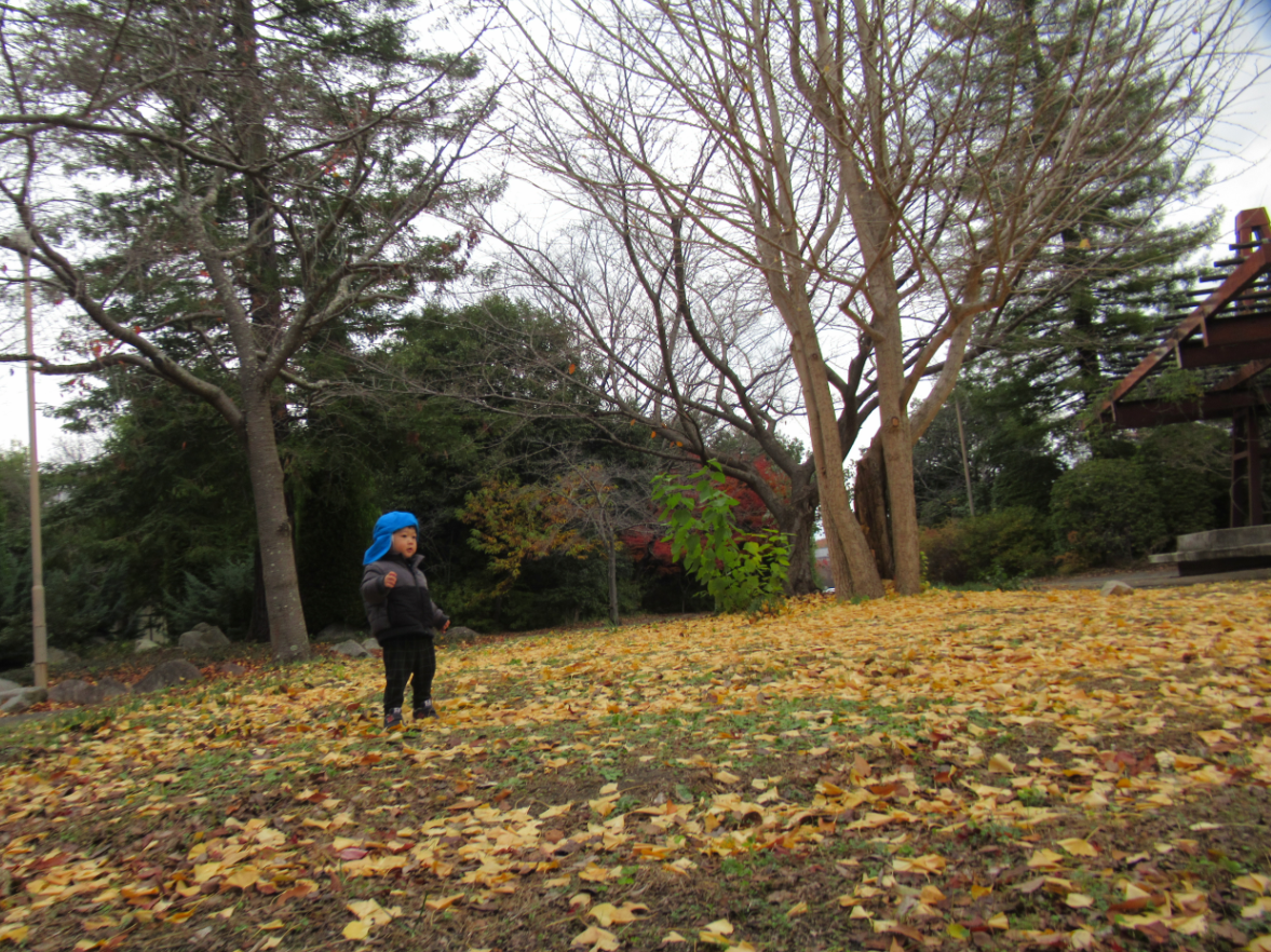 黄色のじゅうたん♪