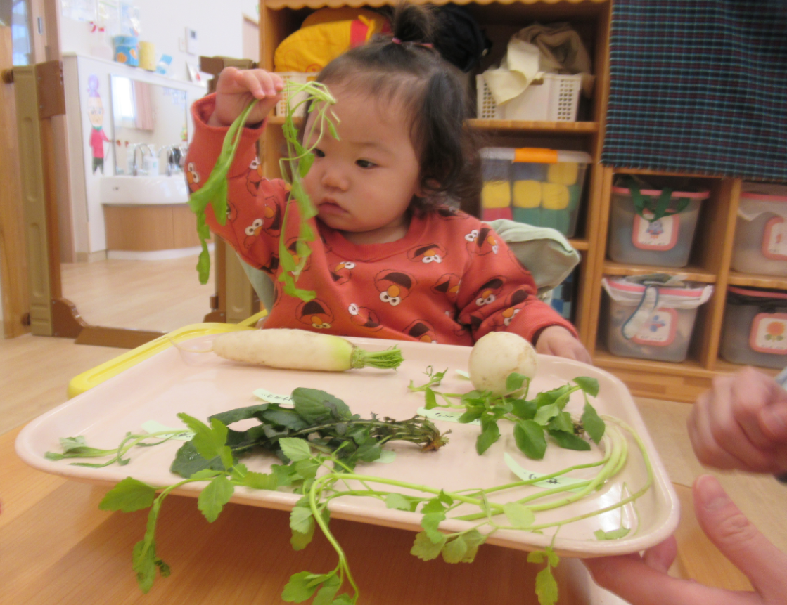 七草ってどんなの？