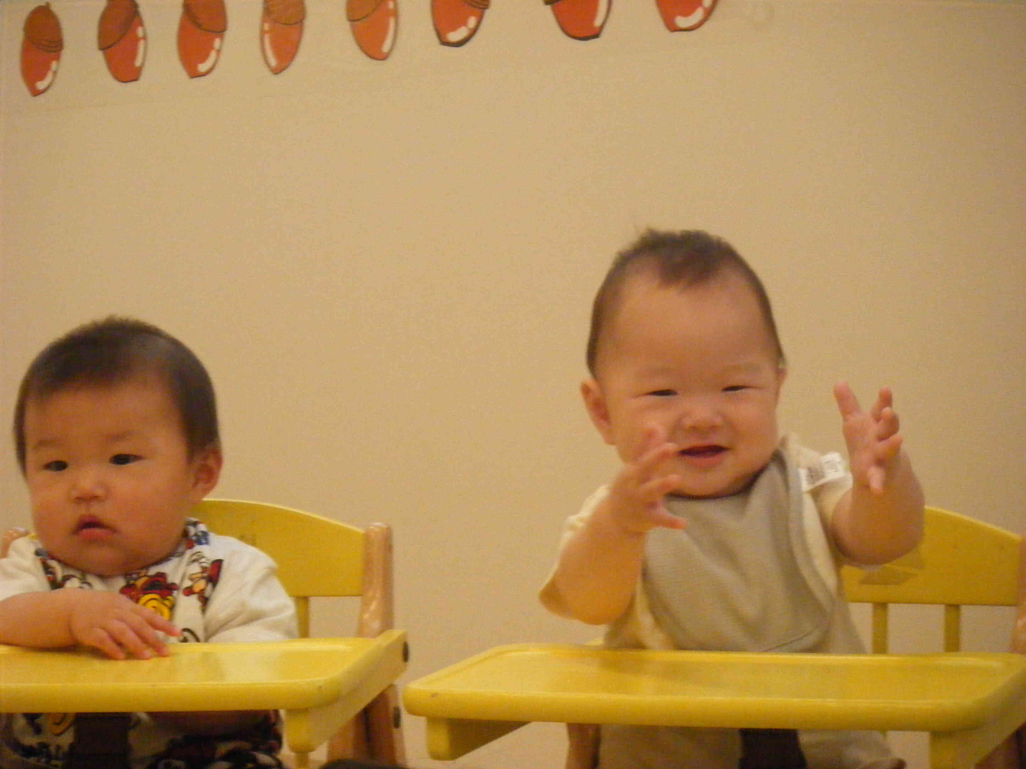 子豚ちゃんたちを見て大喜びのひよこ組さん