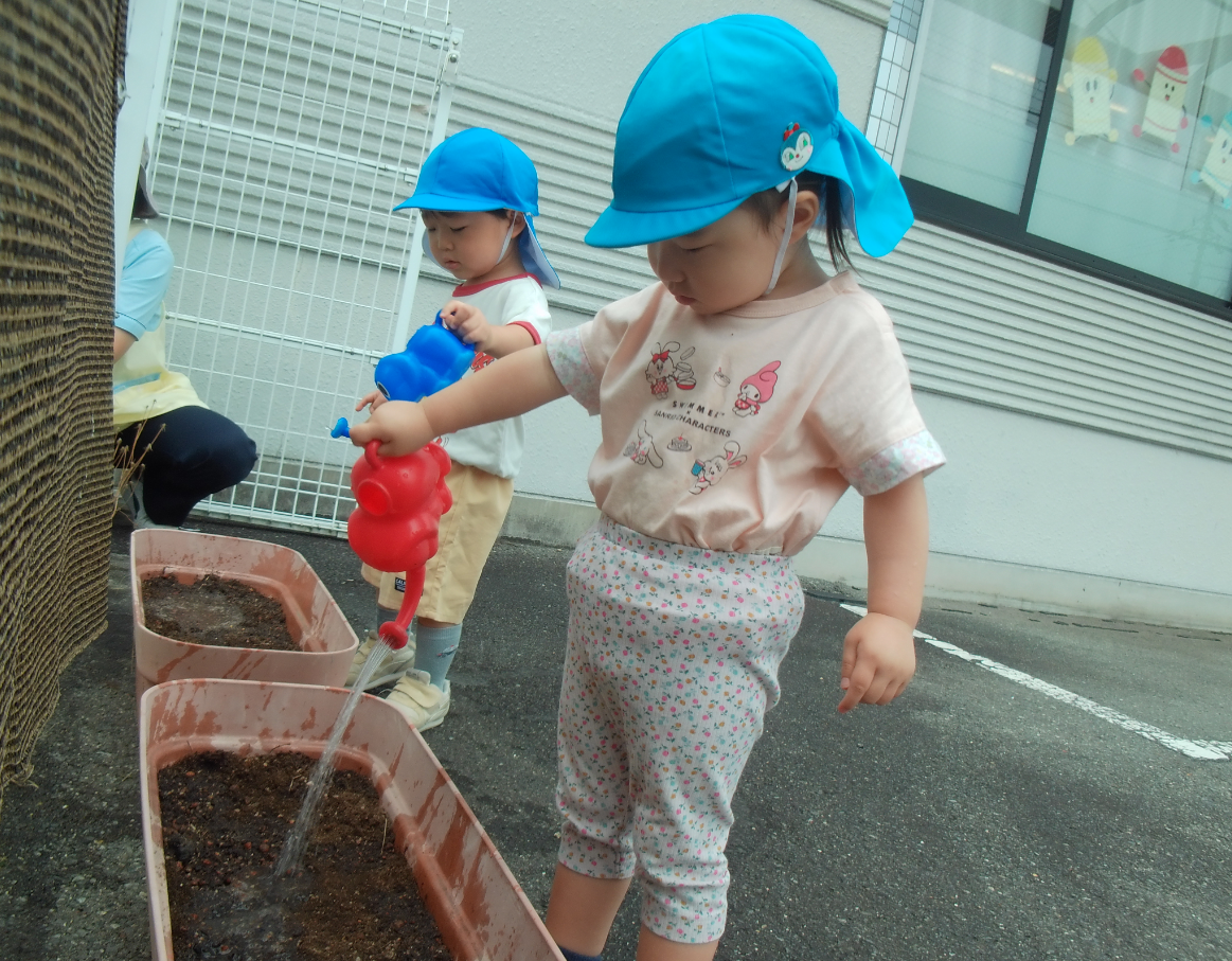 お水をたっぷりあげましょう♪