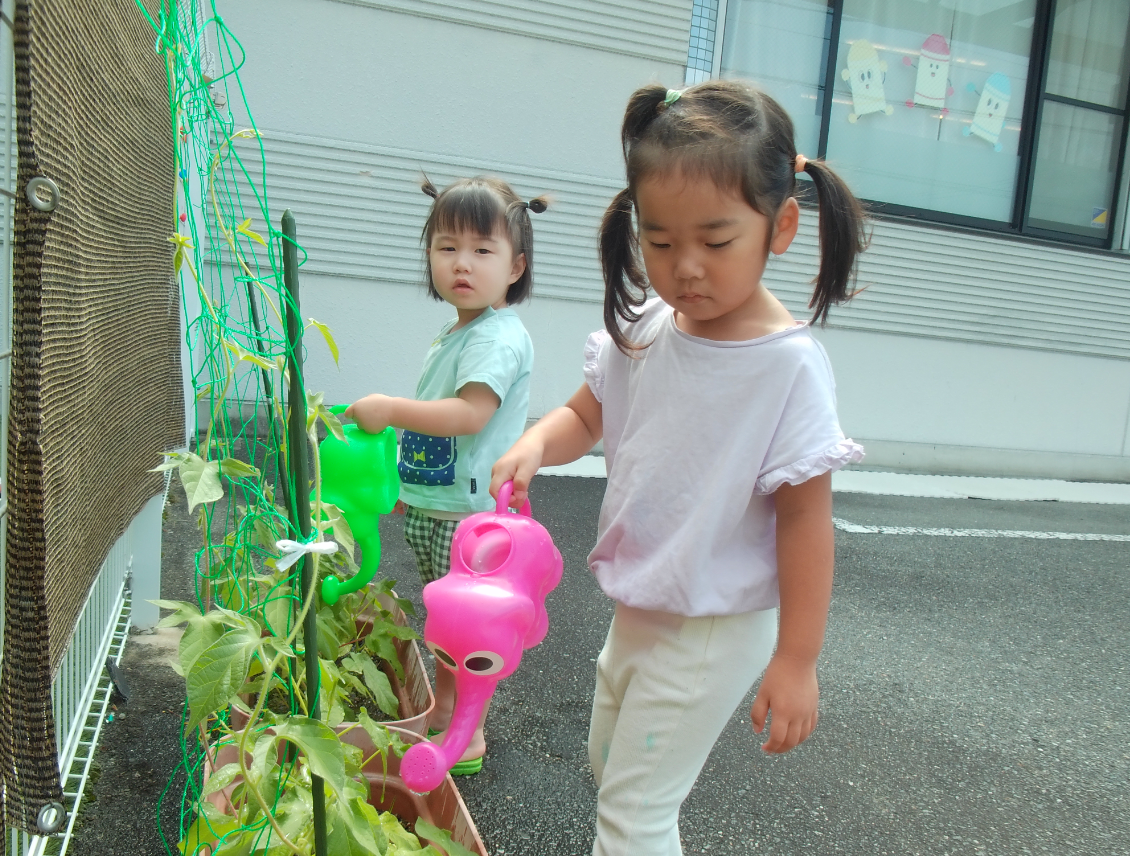 毎日かかさず♪