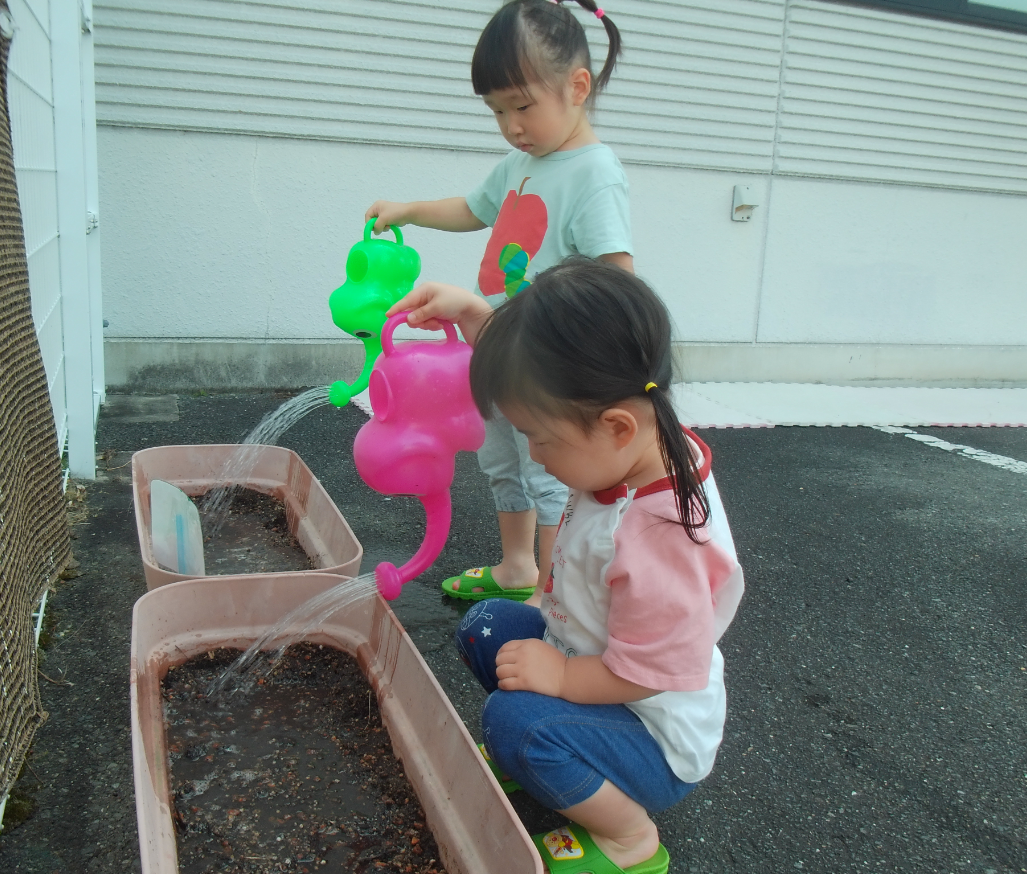 朝顔大きくなあれ♪