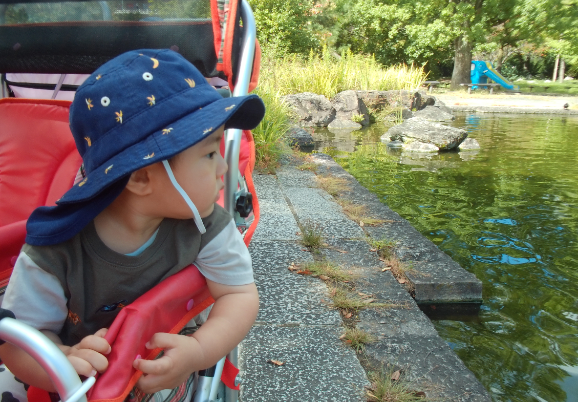 おさかなさ～ん