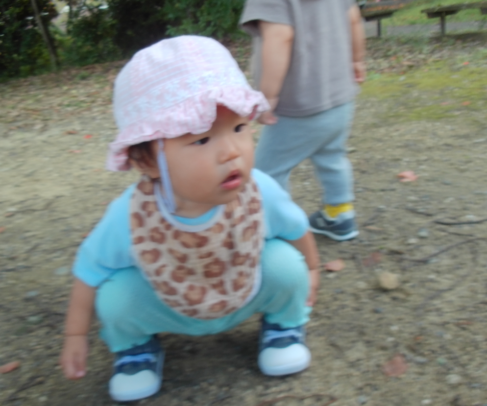 どんぐりもみつけたよ！