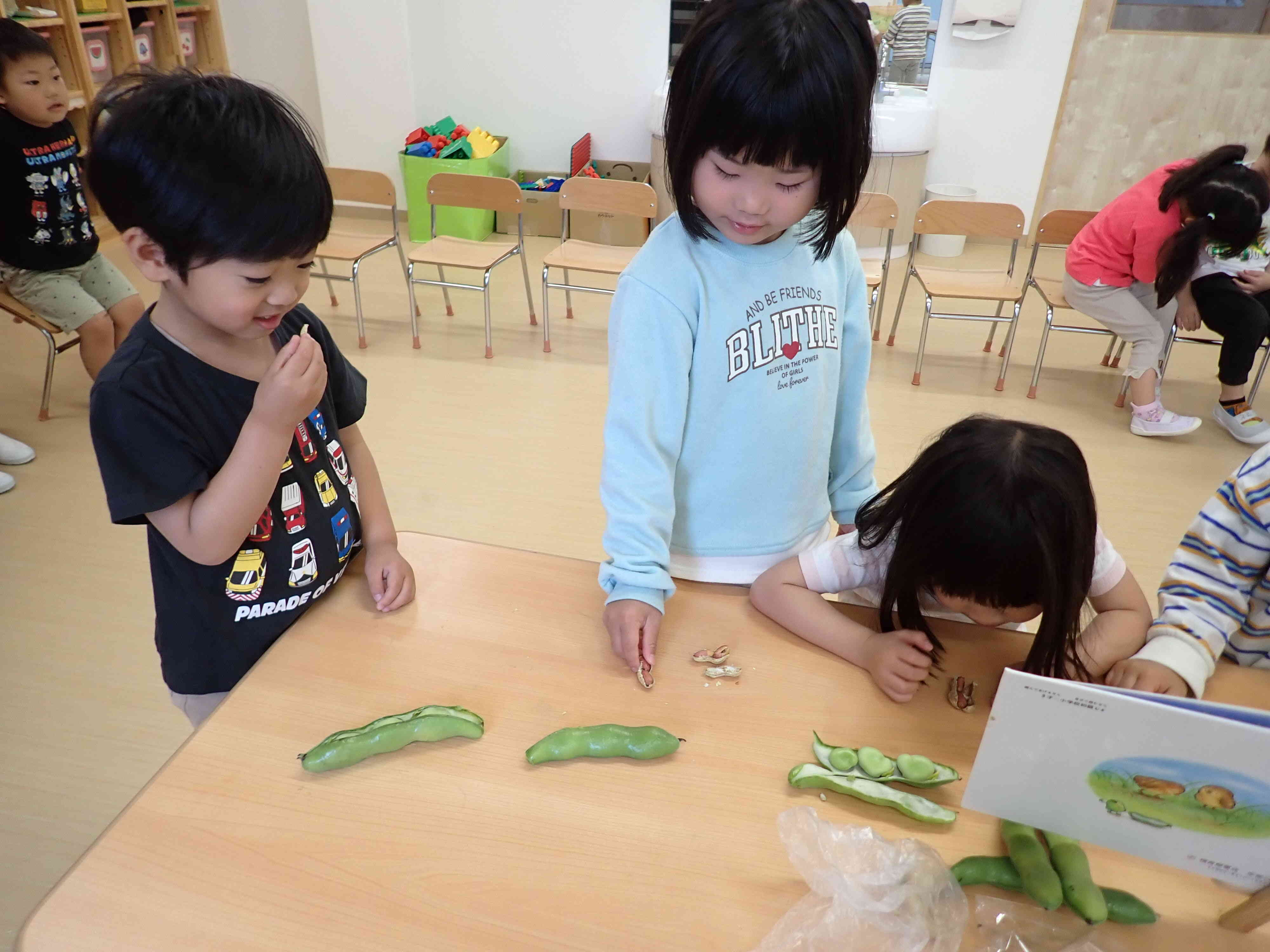 STEAM保育　そら豆くんのベット　ぱんだ組