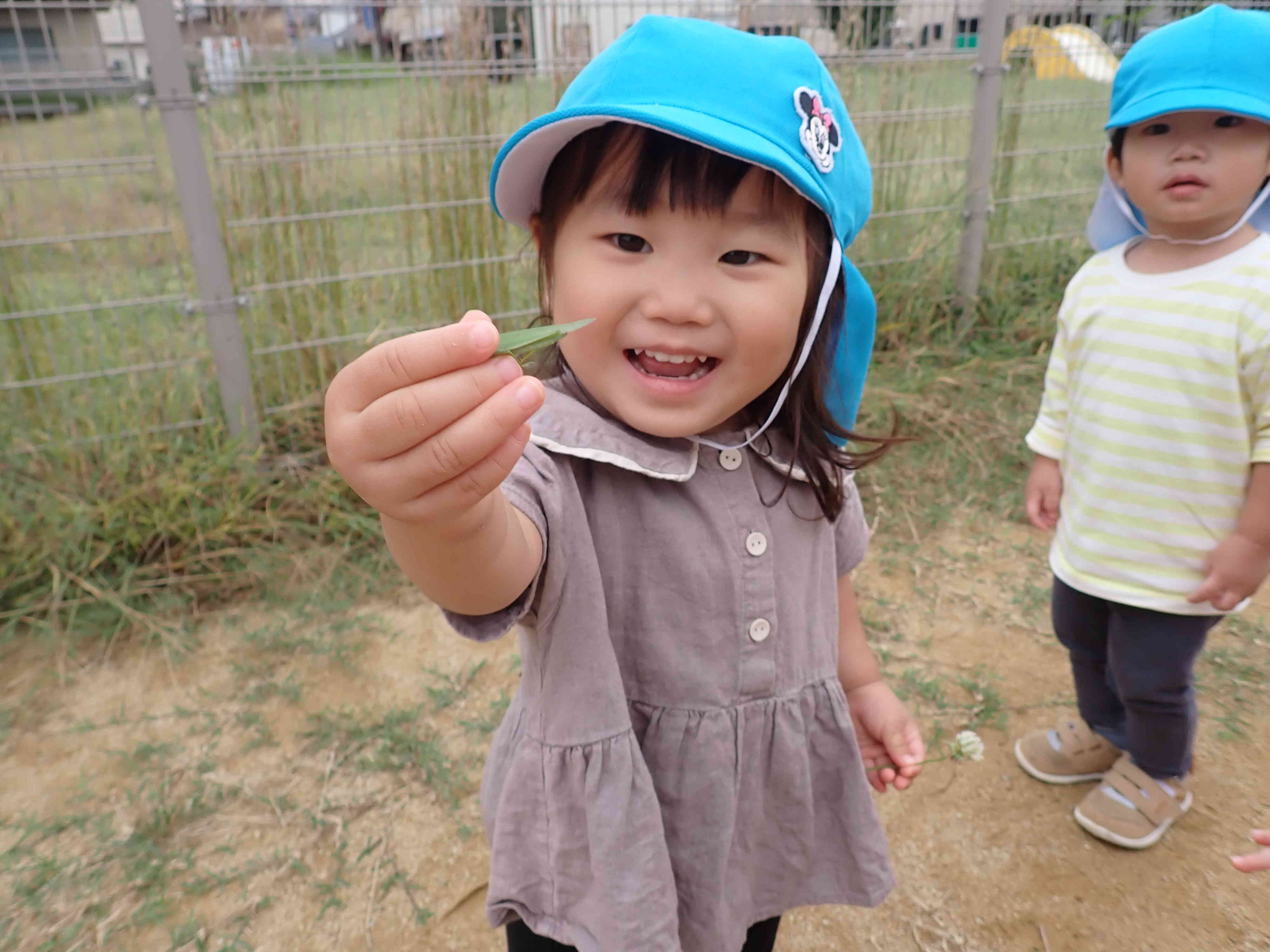 バッタ捕まえれた！