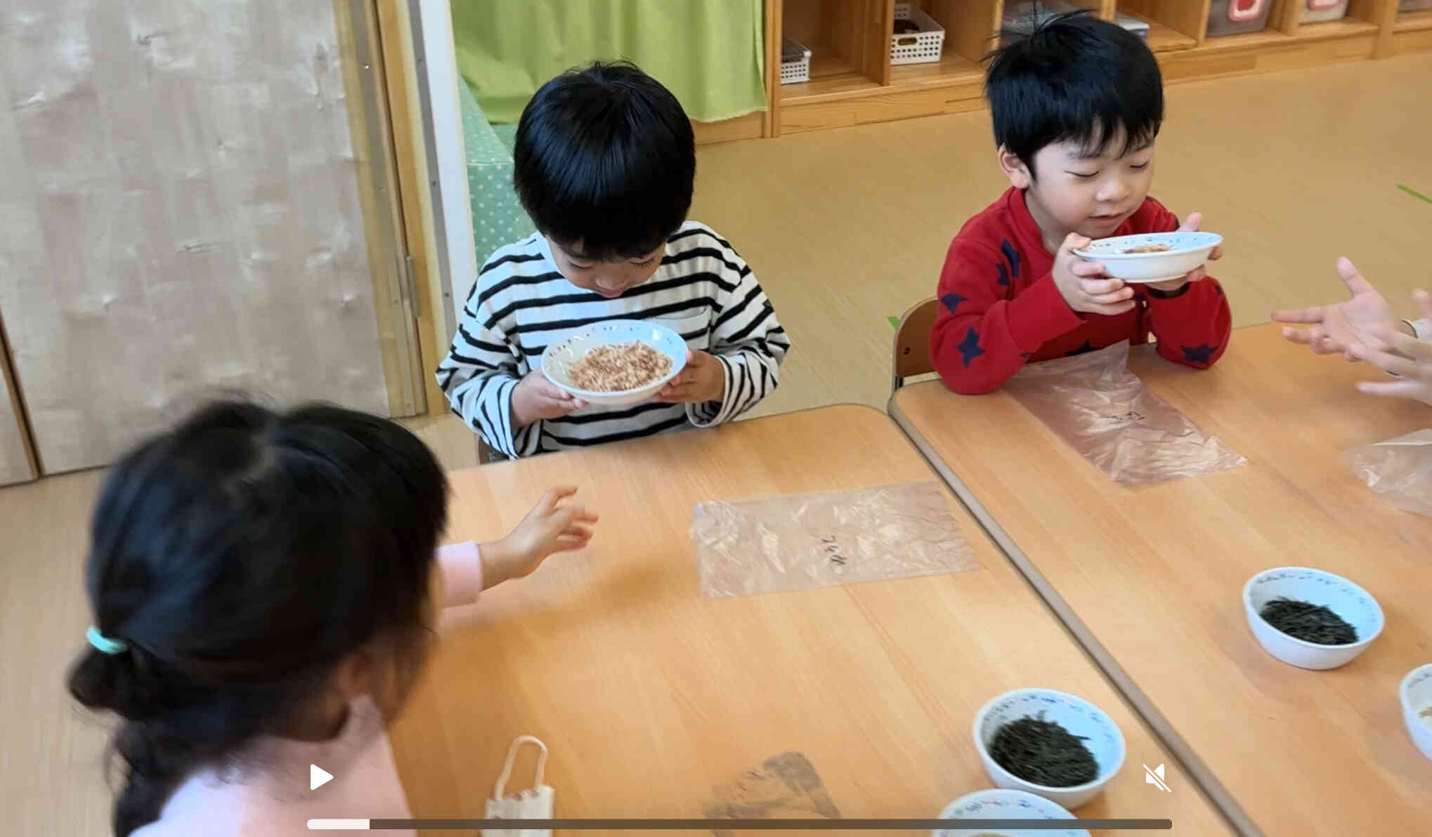 どれにしようかなぁ