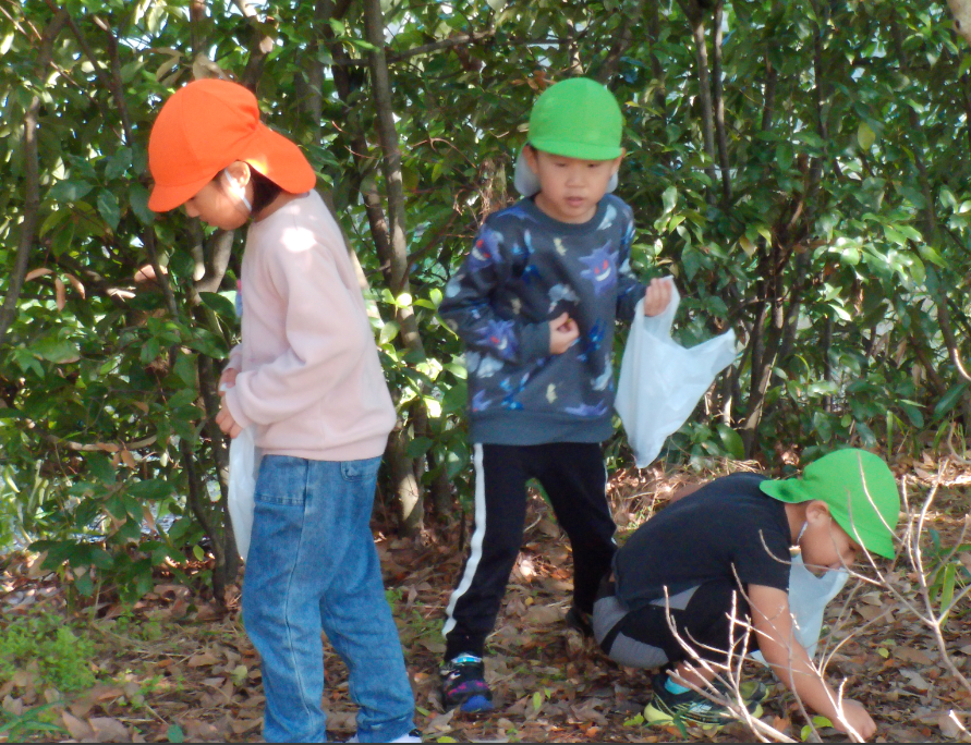 どんぐりみつけた