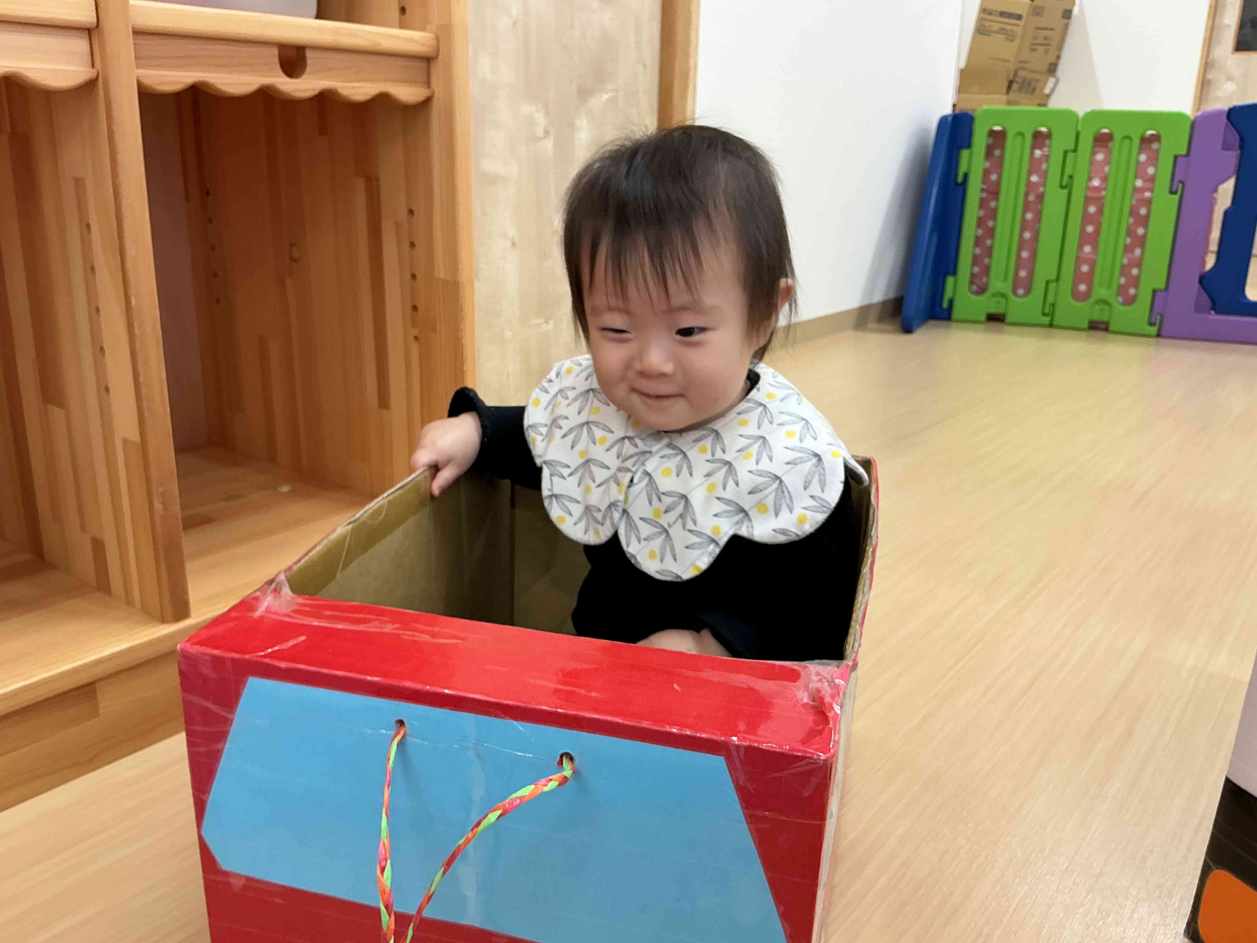 ダンボール遊び　ひよこ組