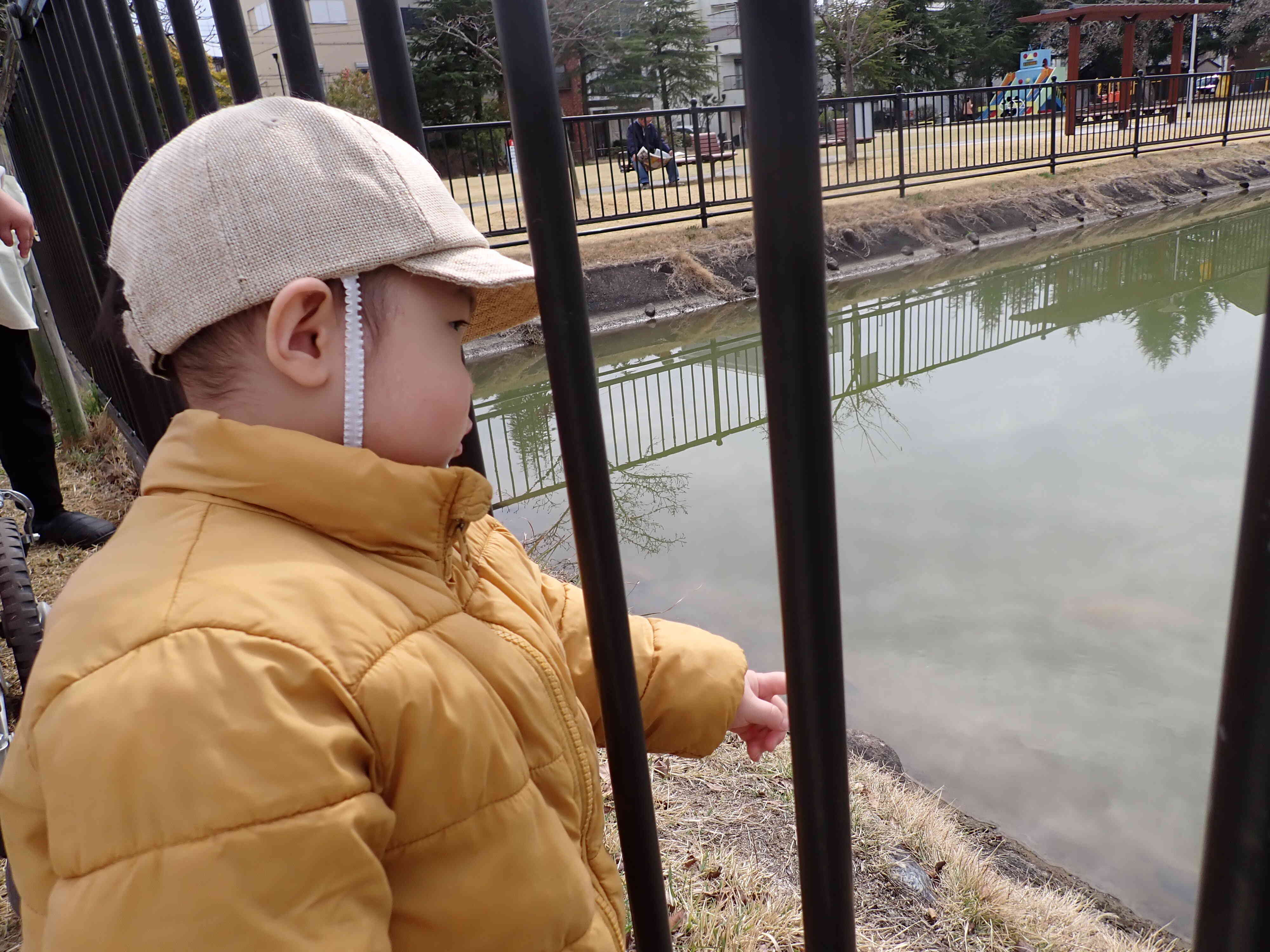 魚だ！！