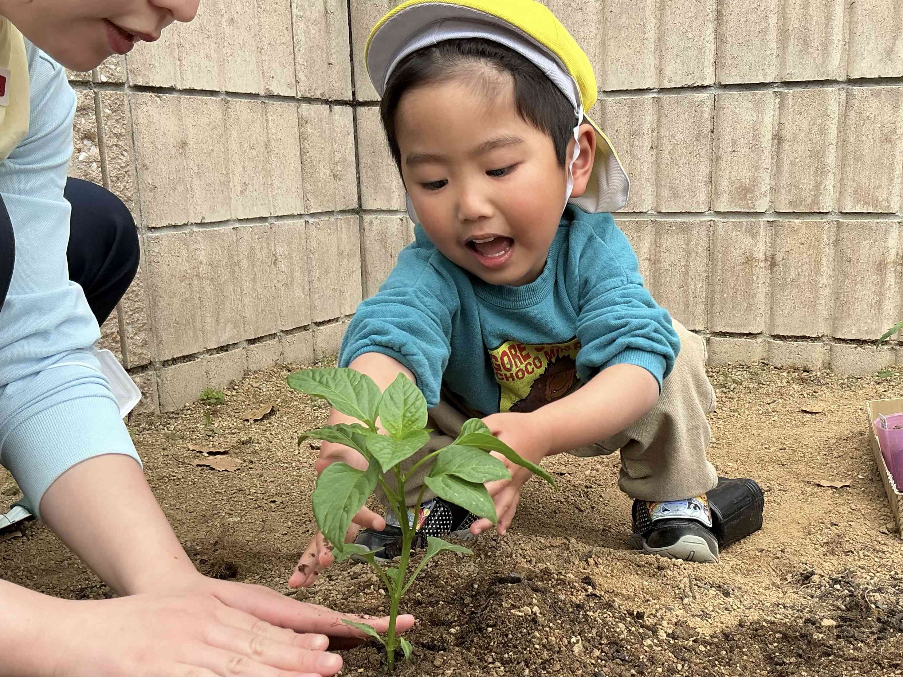 優しく優しく…