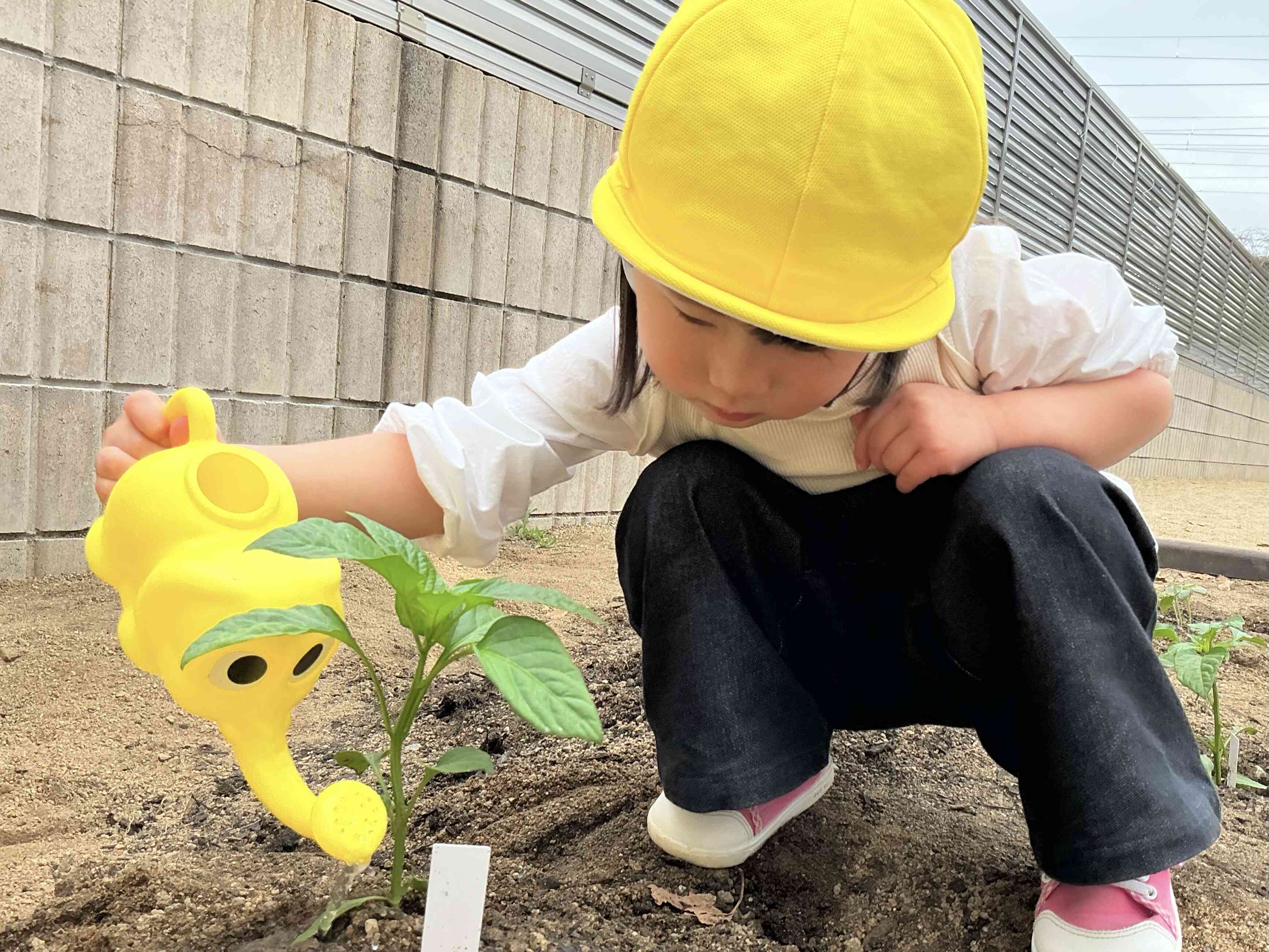お水をあげるよ！
