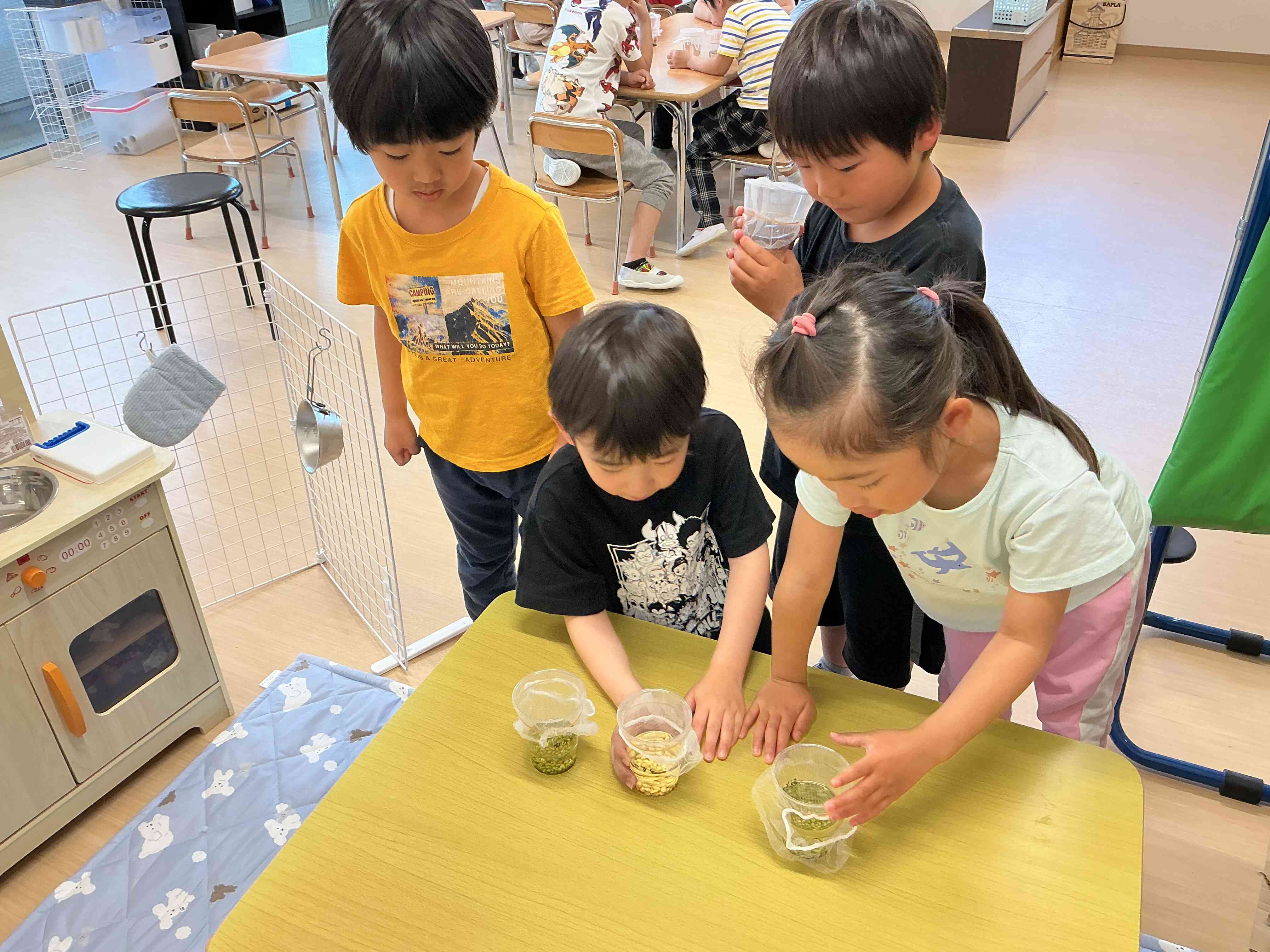 もやし栽培！