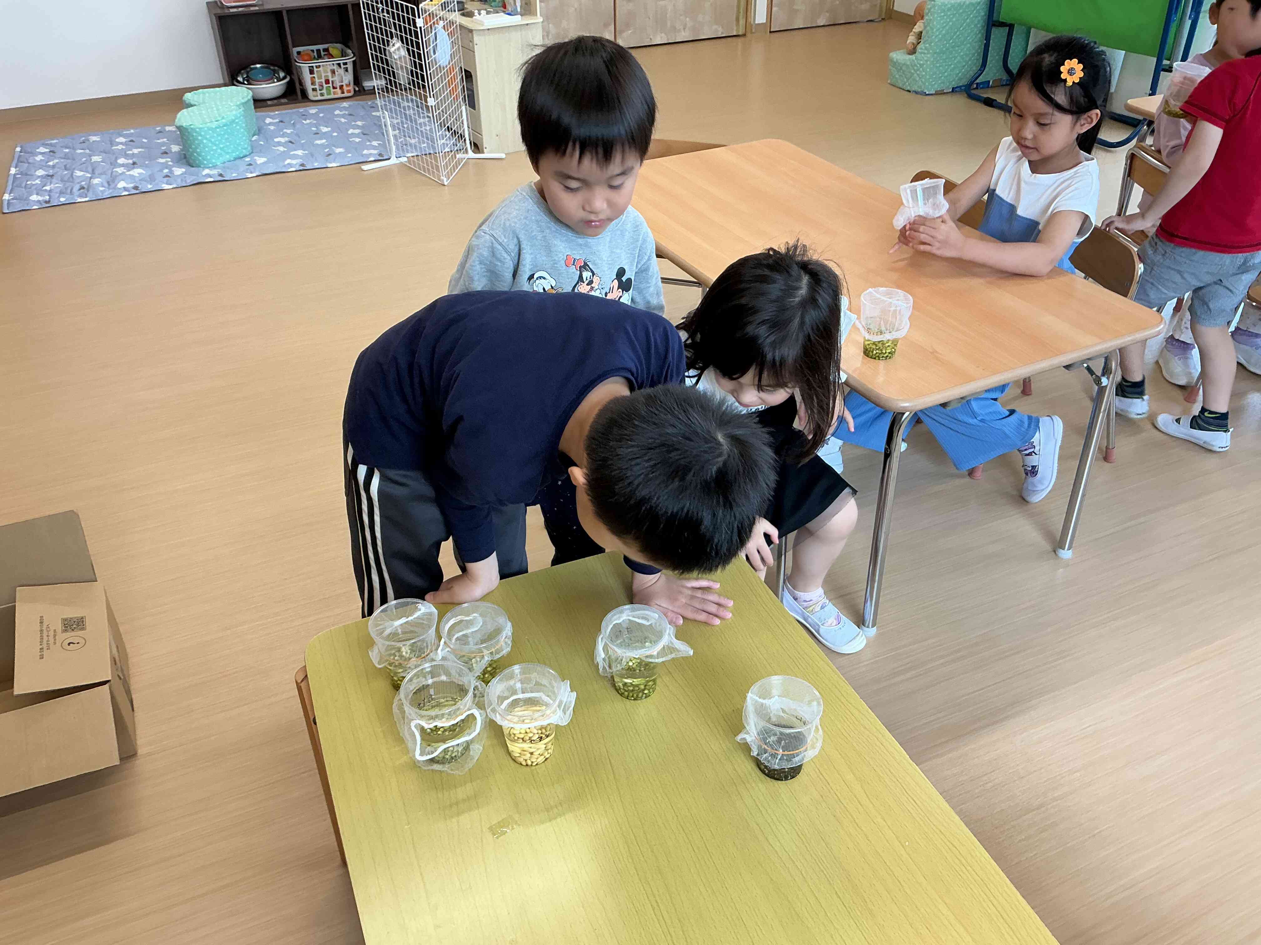 水につけたらどうなる？