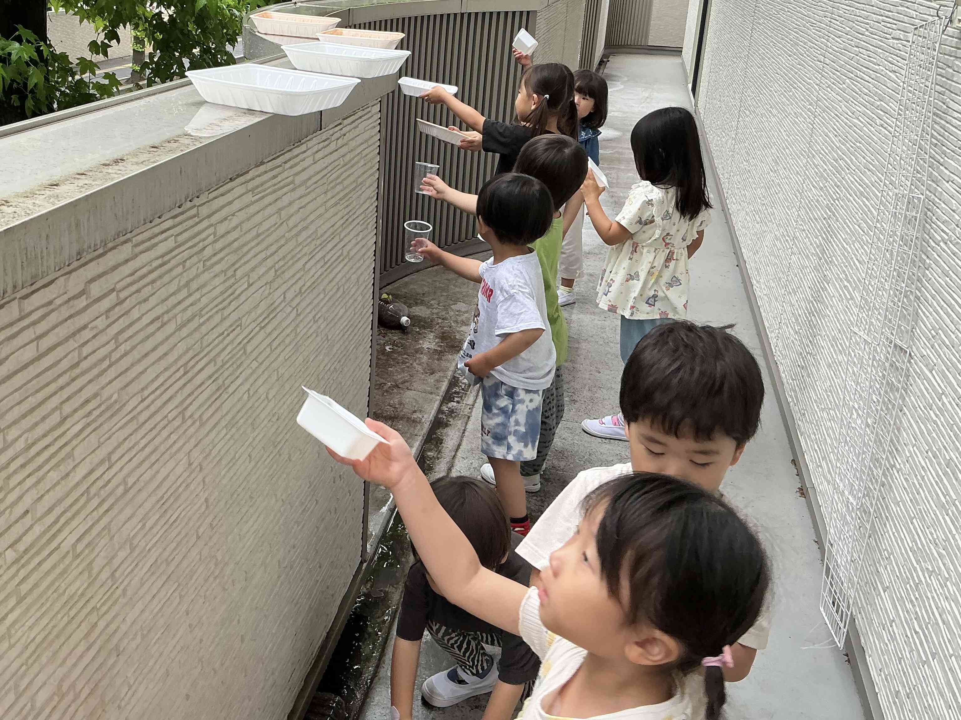 雨に触れてみよう りすぐみ