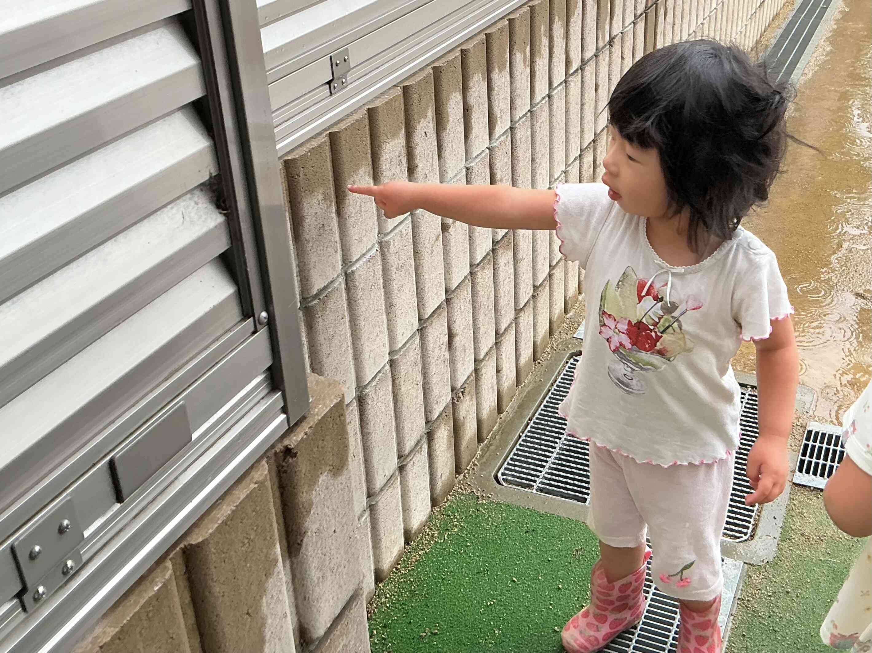 雨で色が変わってるよ!