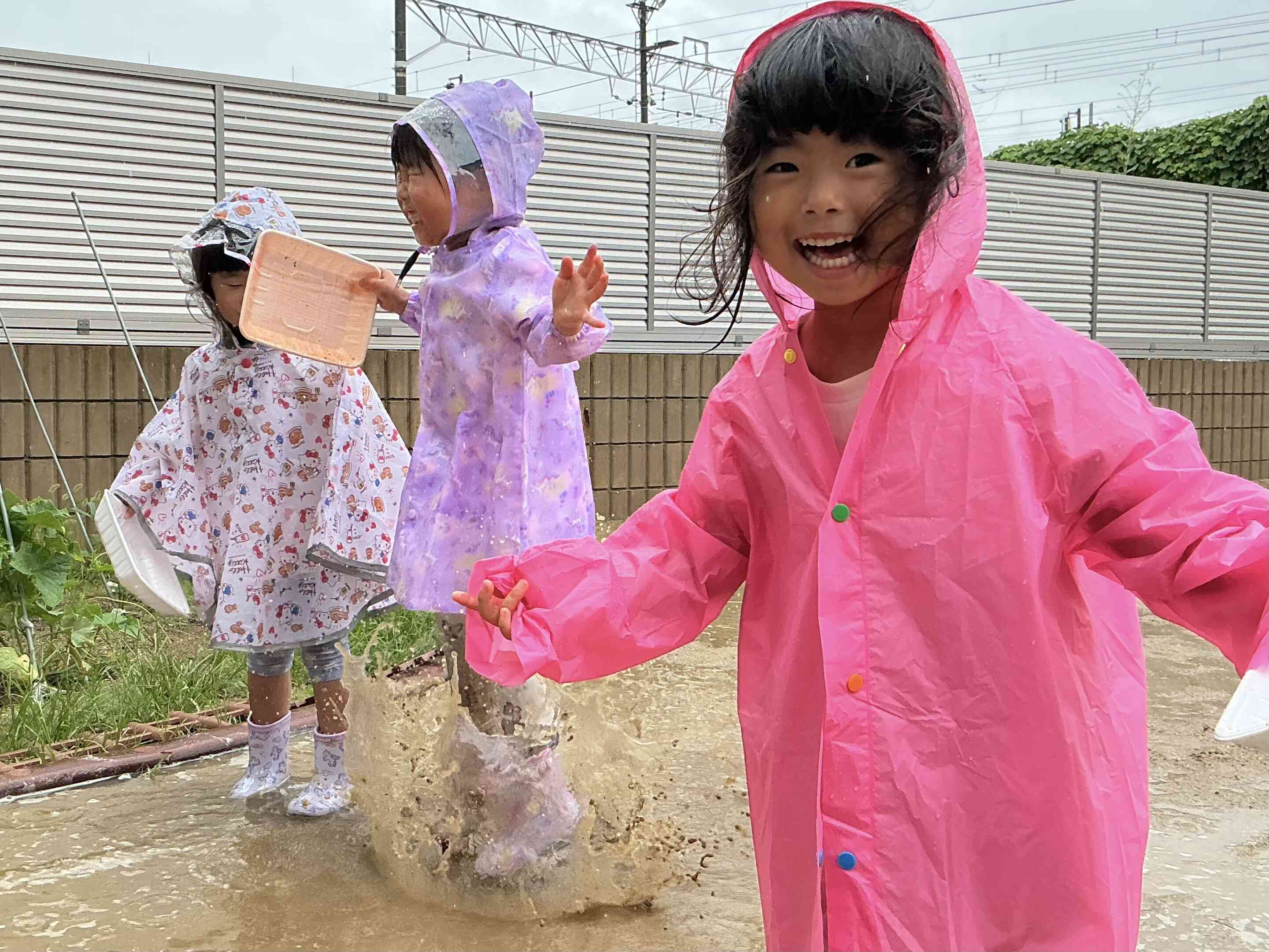 雨の観察 りすぐみ