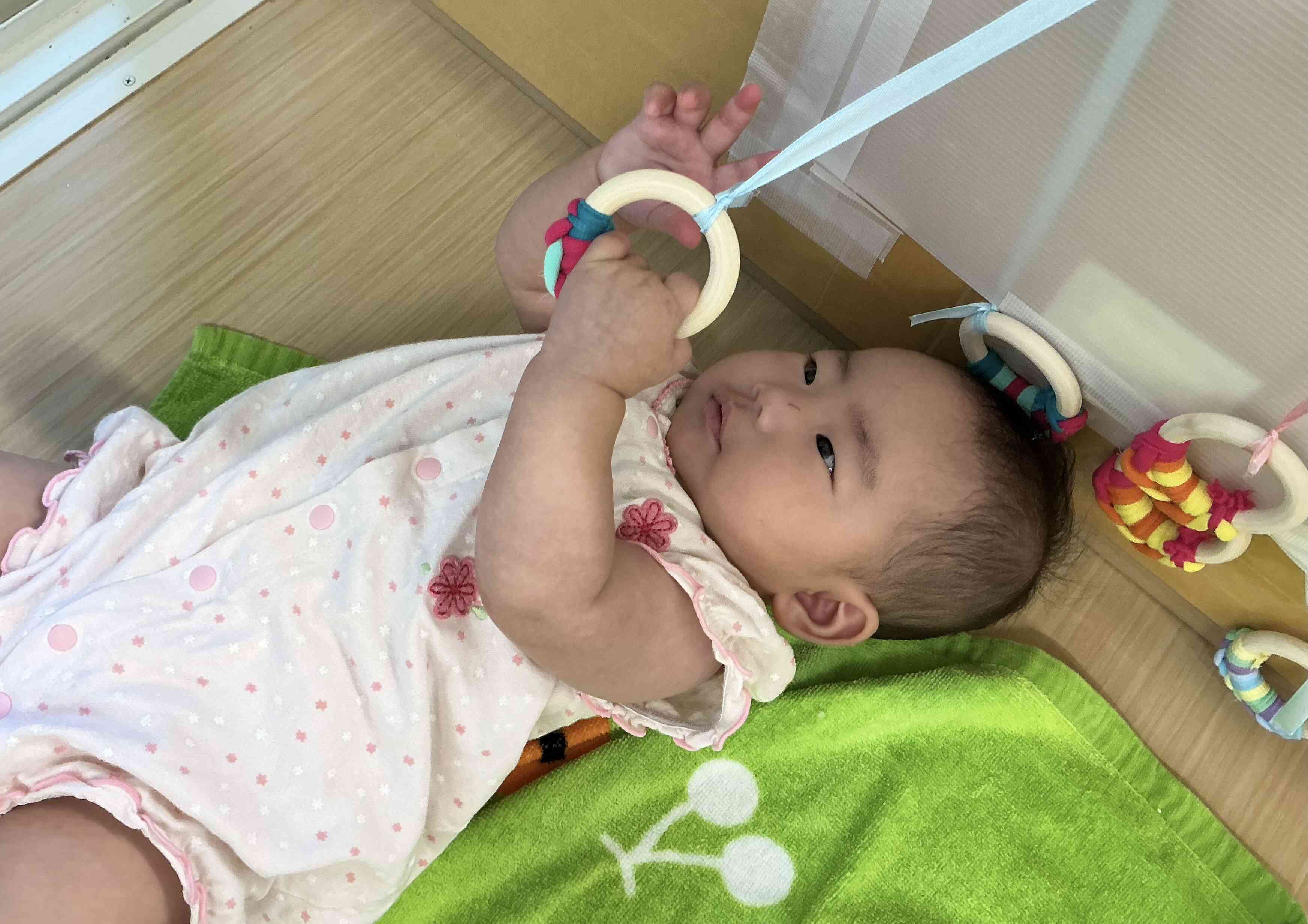 今日のひよこ組さん