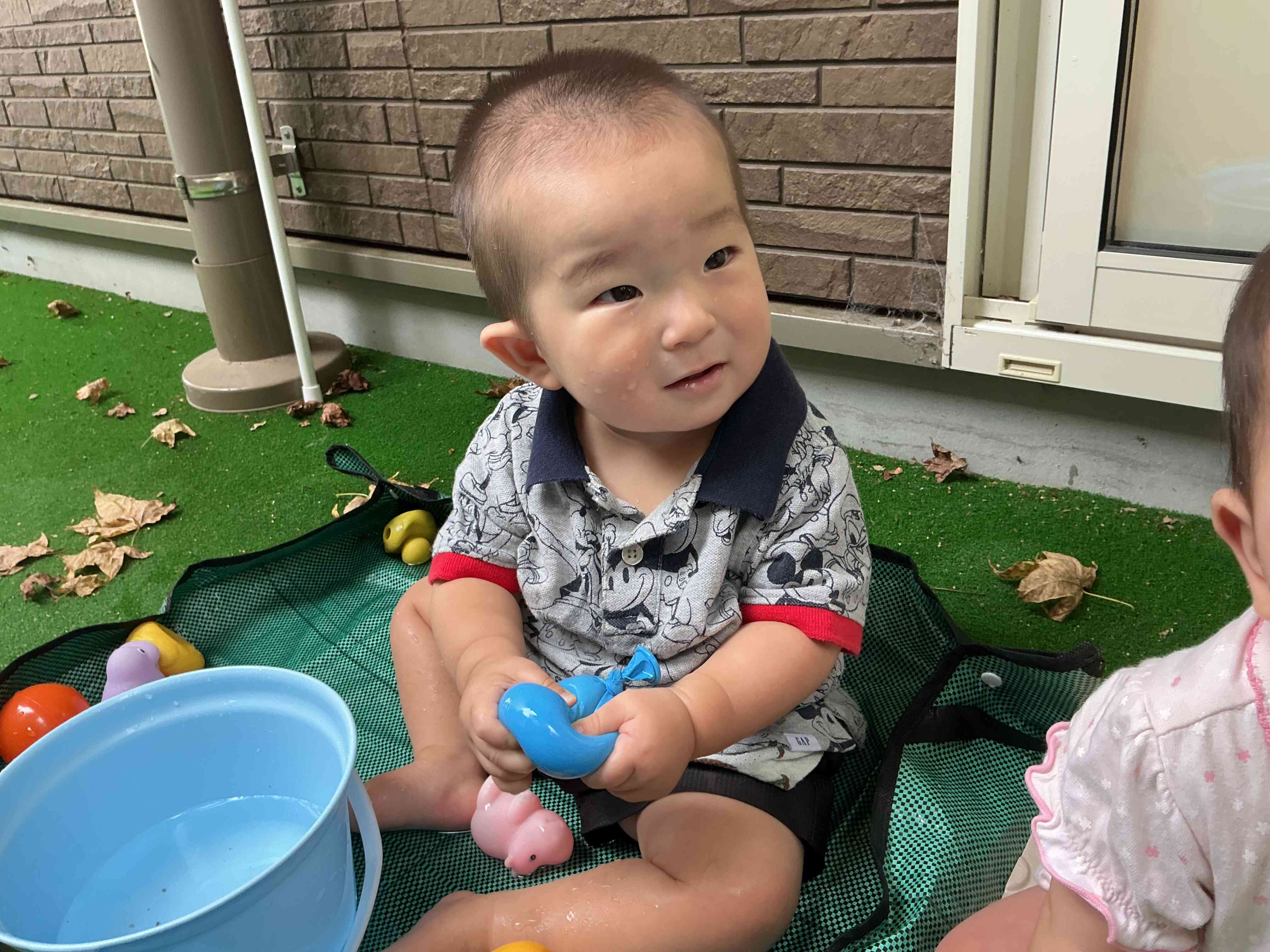 今日のひよこ組♪