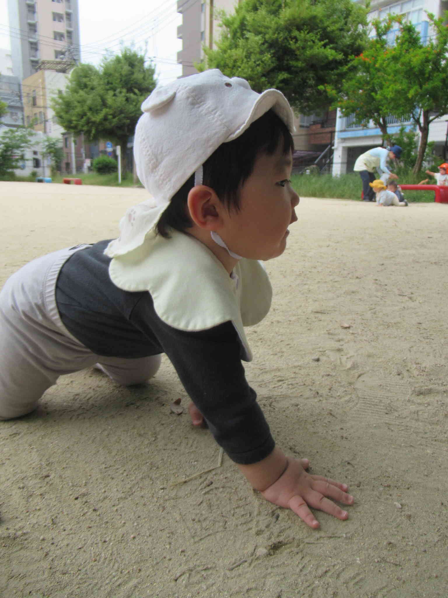 元気よくハイハイ