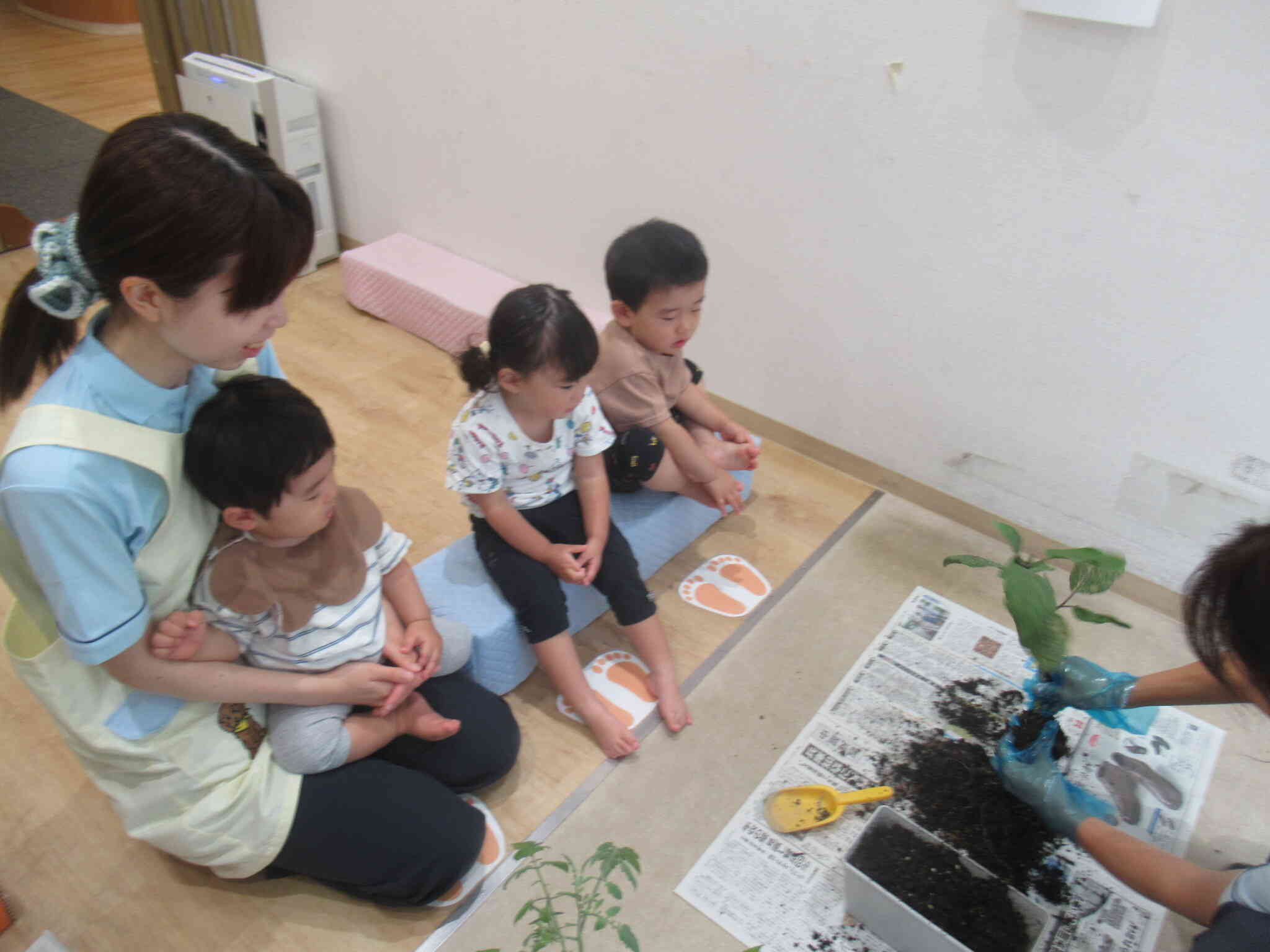 植物にも