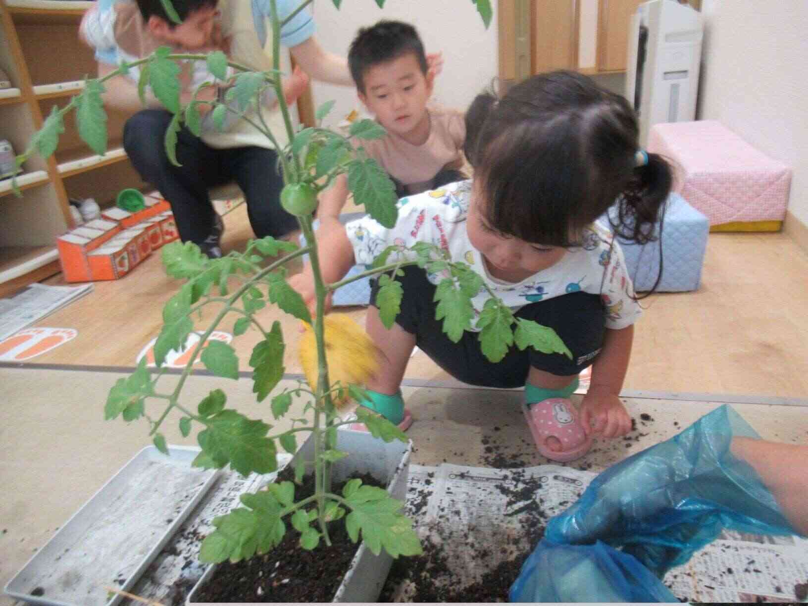 どう感じてるかな？