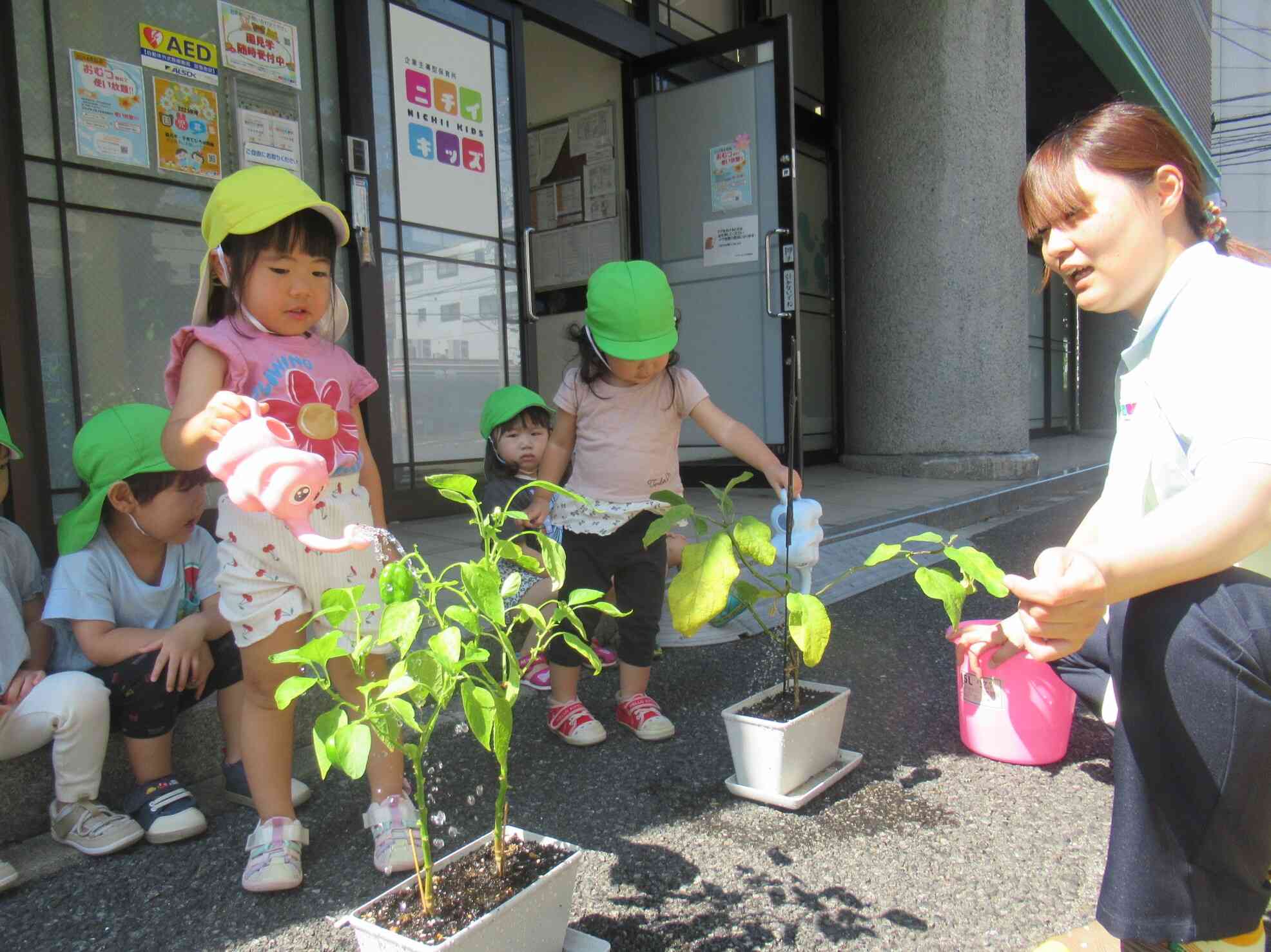 夏野菜