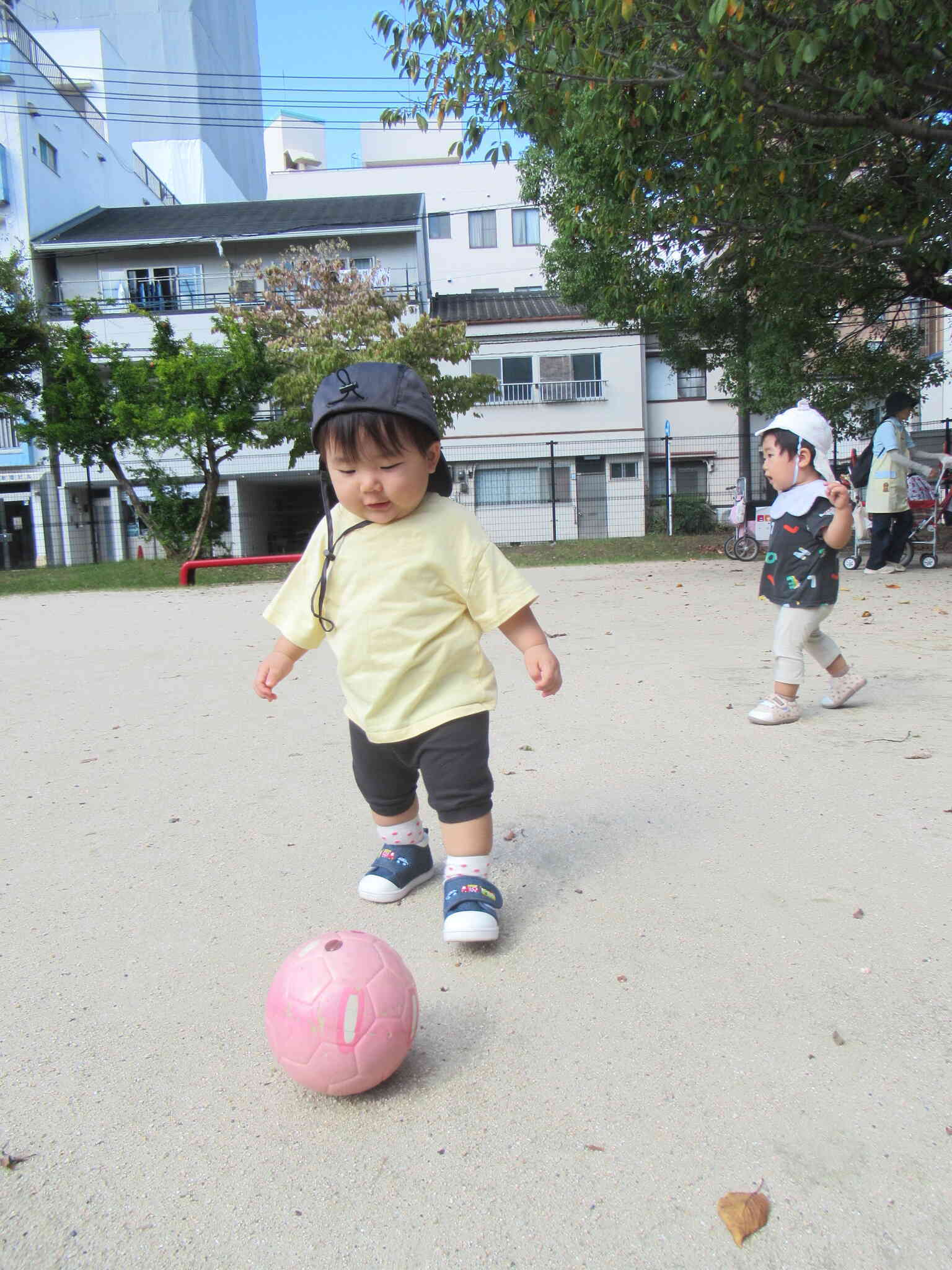 ひよこ組さんの成長