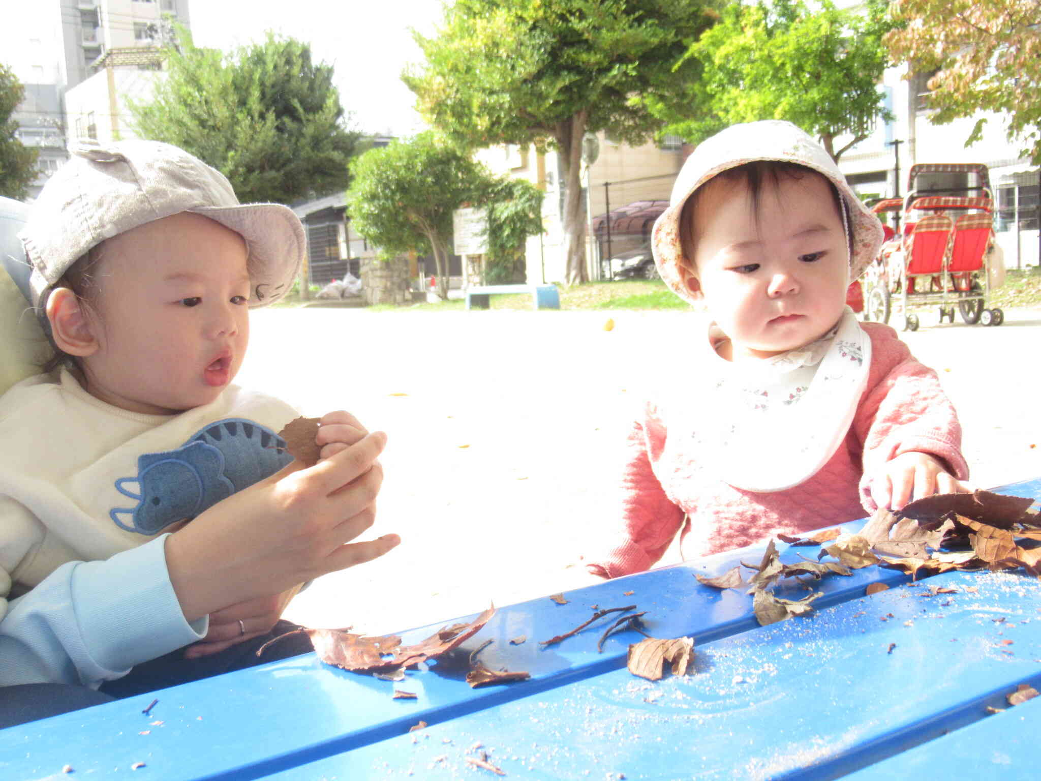公園いいきもち！「これなんだろう？」