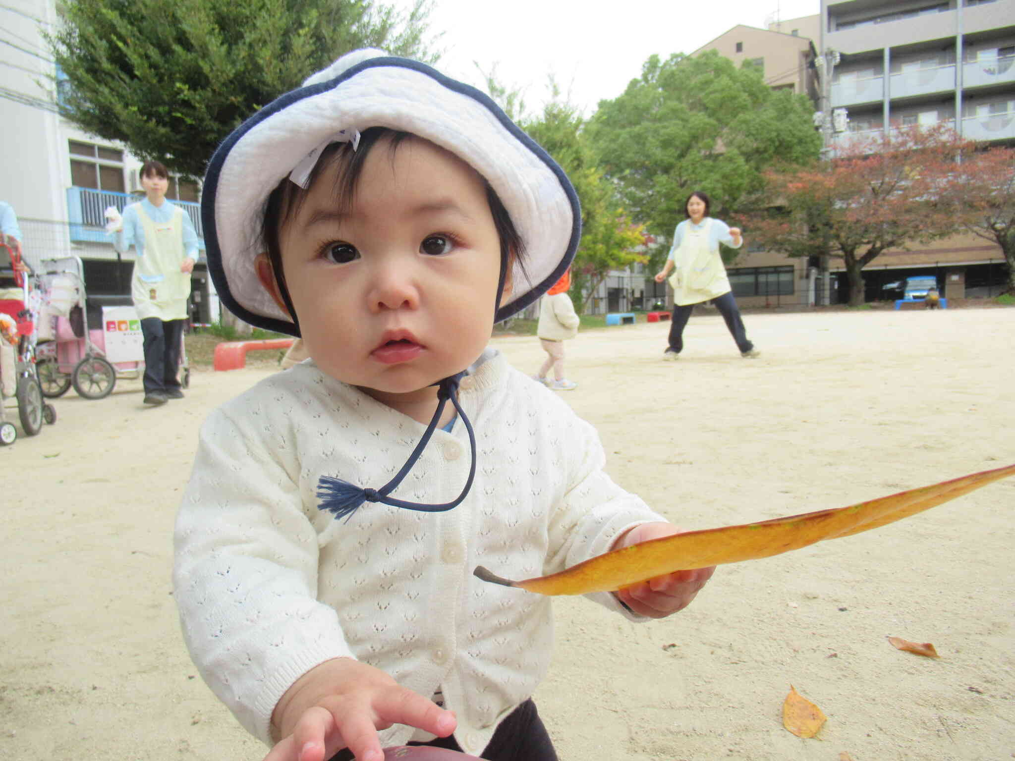 おおきな葉っぱ！みつけたね