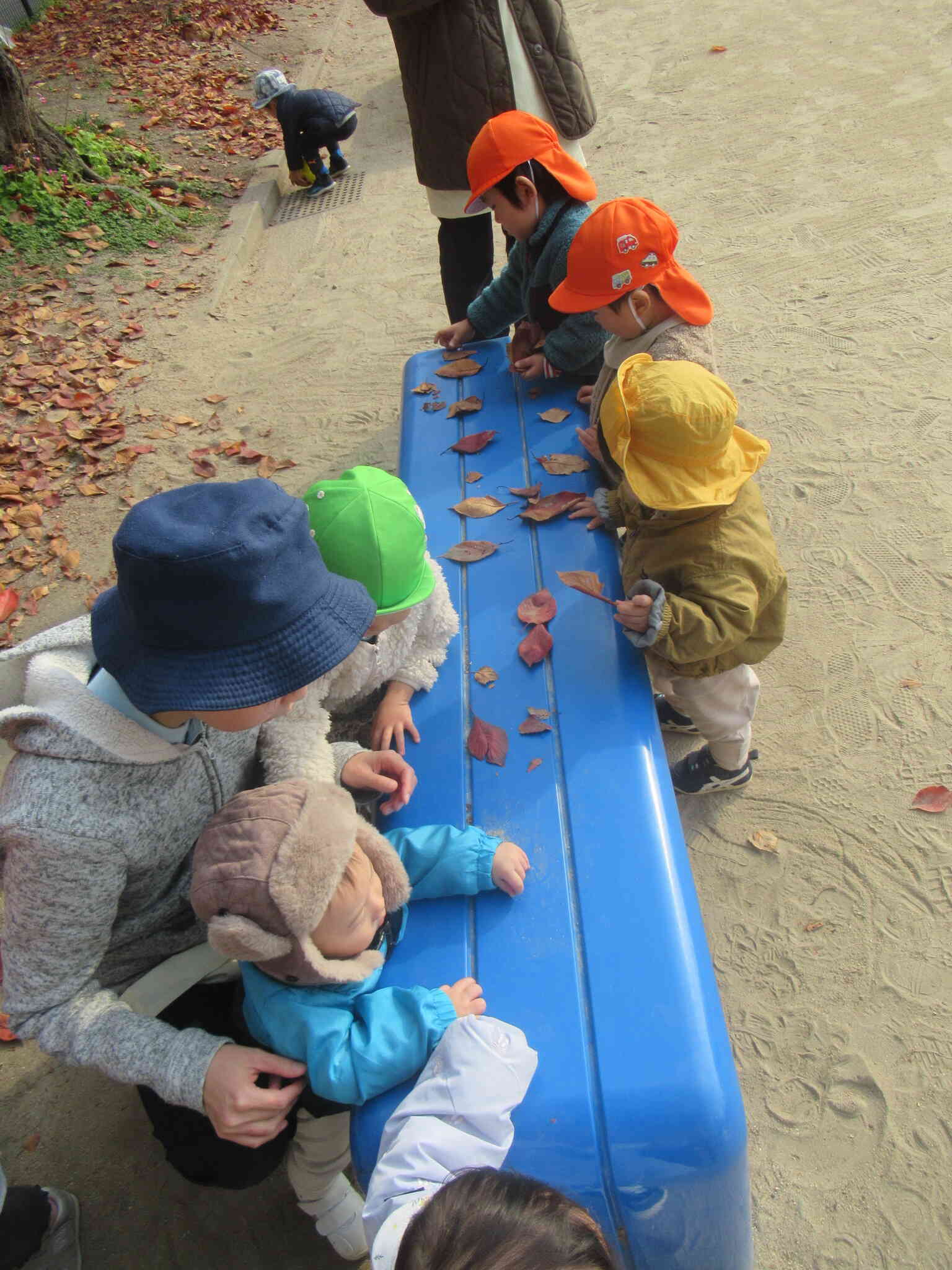 葉っぱ　ならんだならんだ