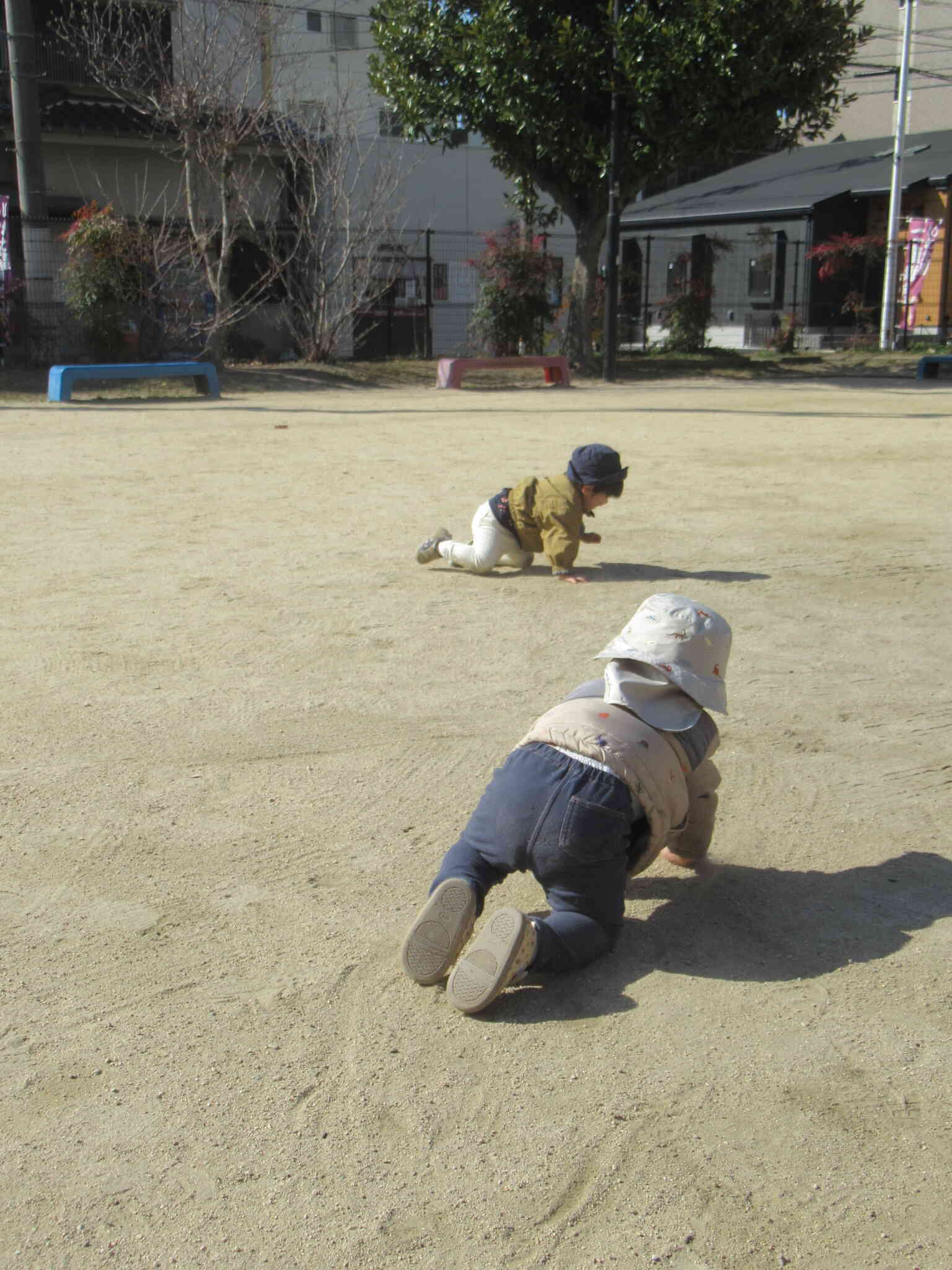 ハイハイレース